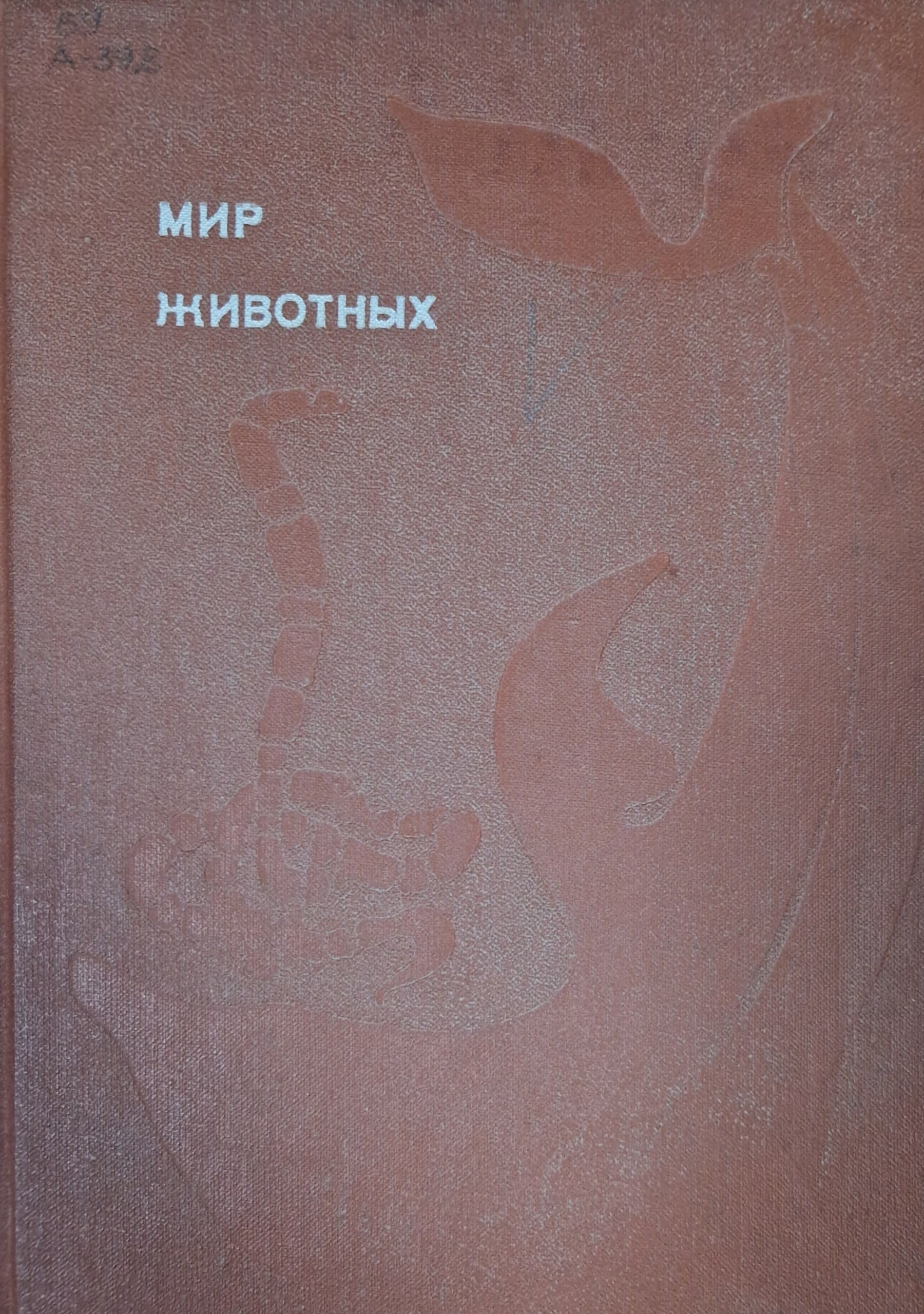 Мир животных