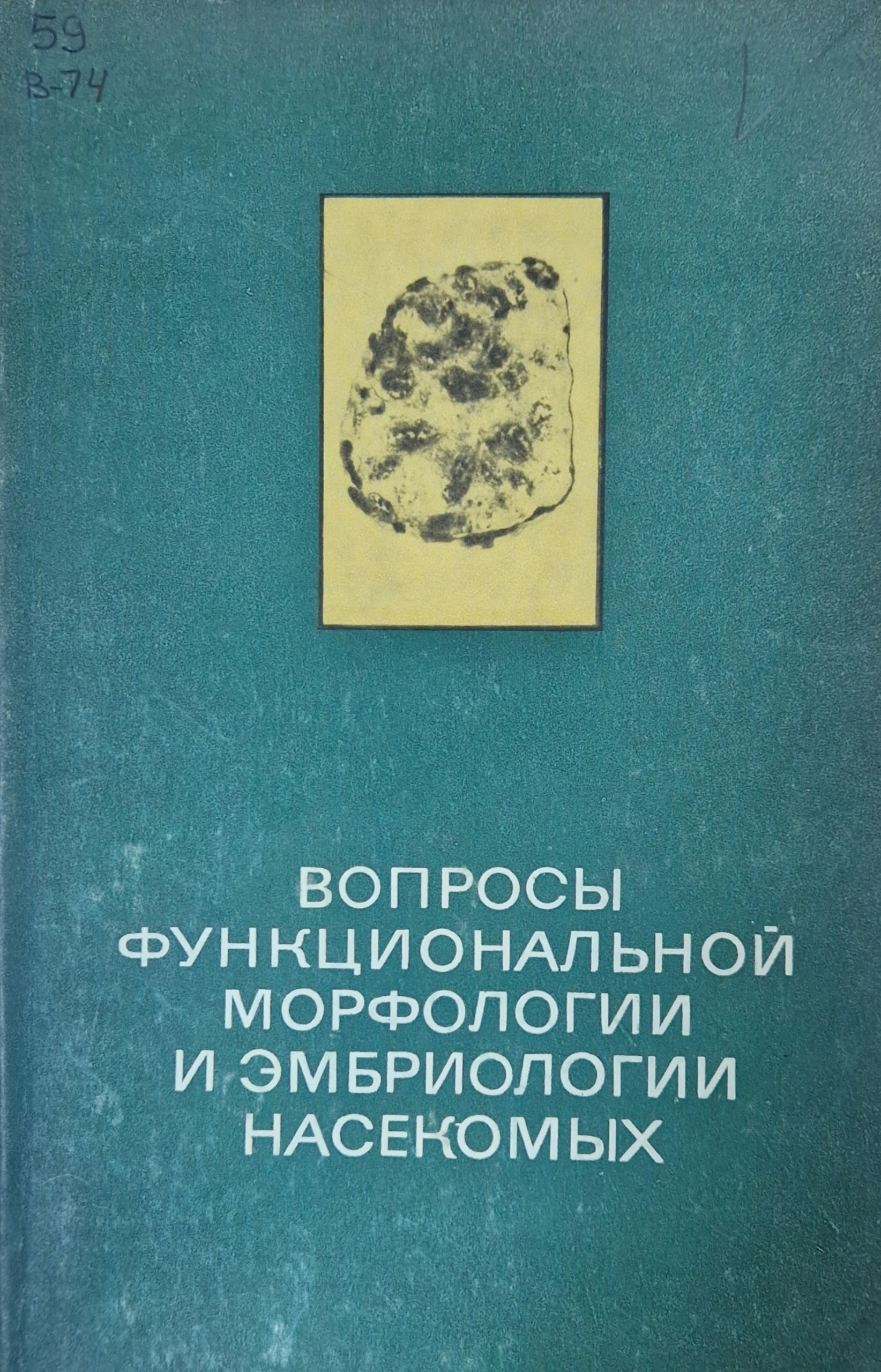 Вопросы функциональной морфологии и эмбриологии насекомых