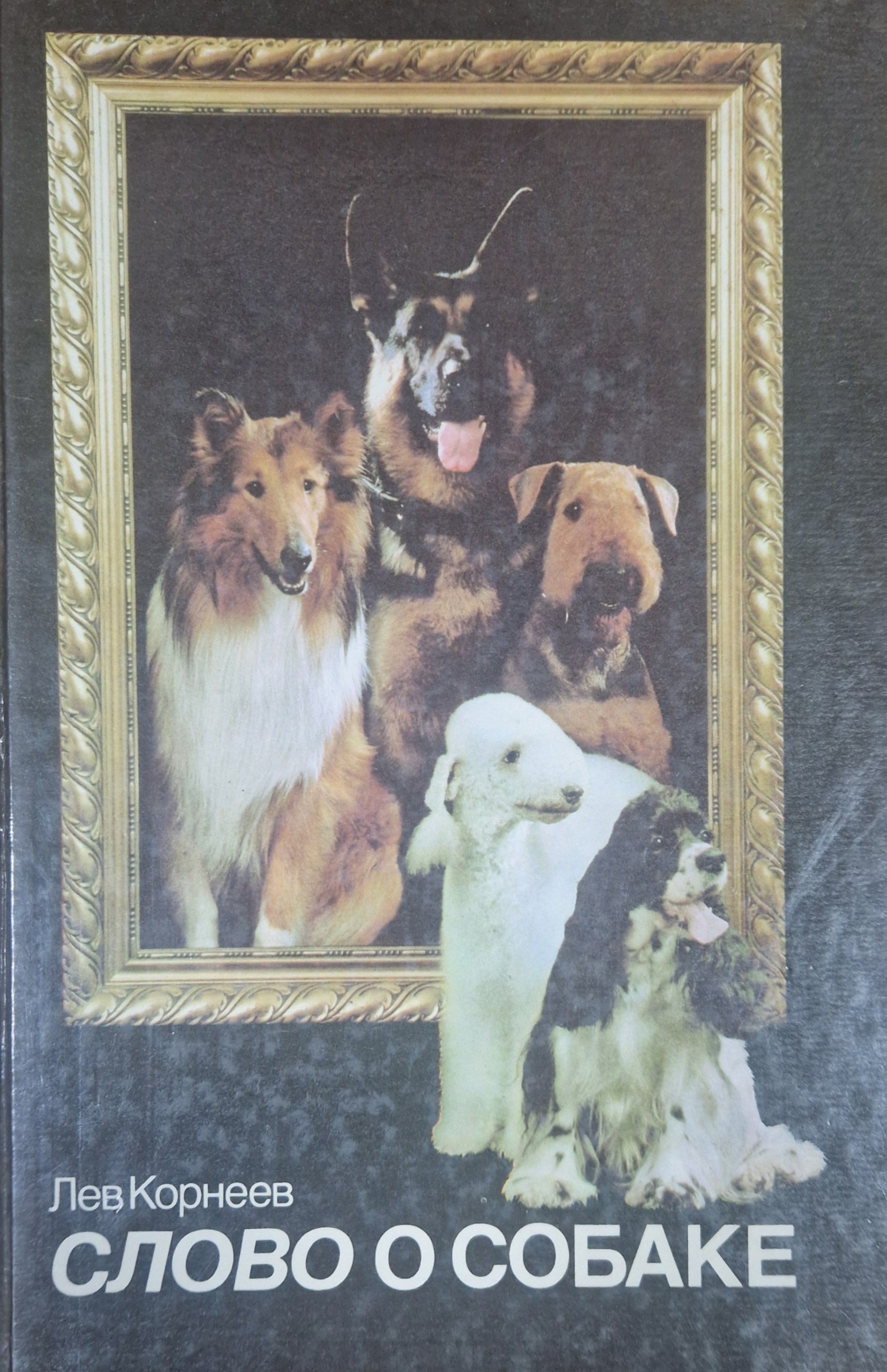Слово о собаке
