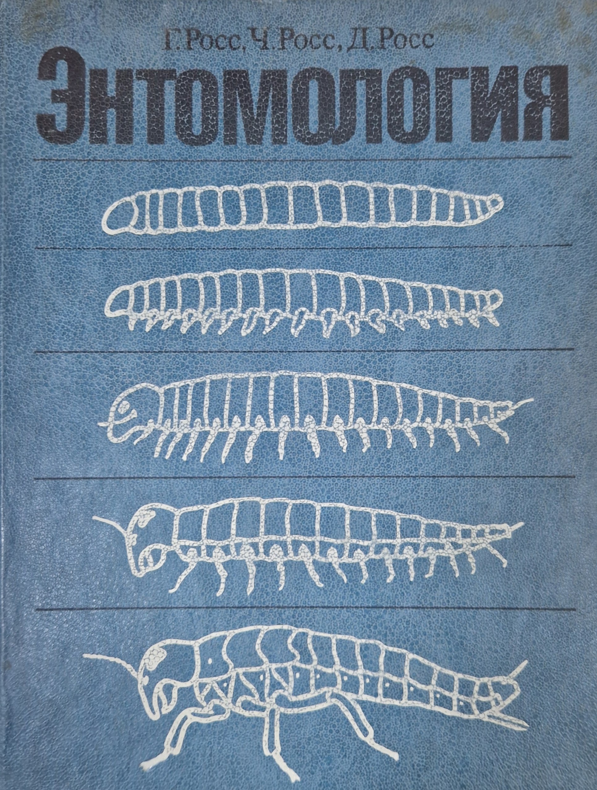 Энтомология