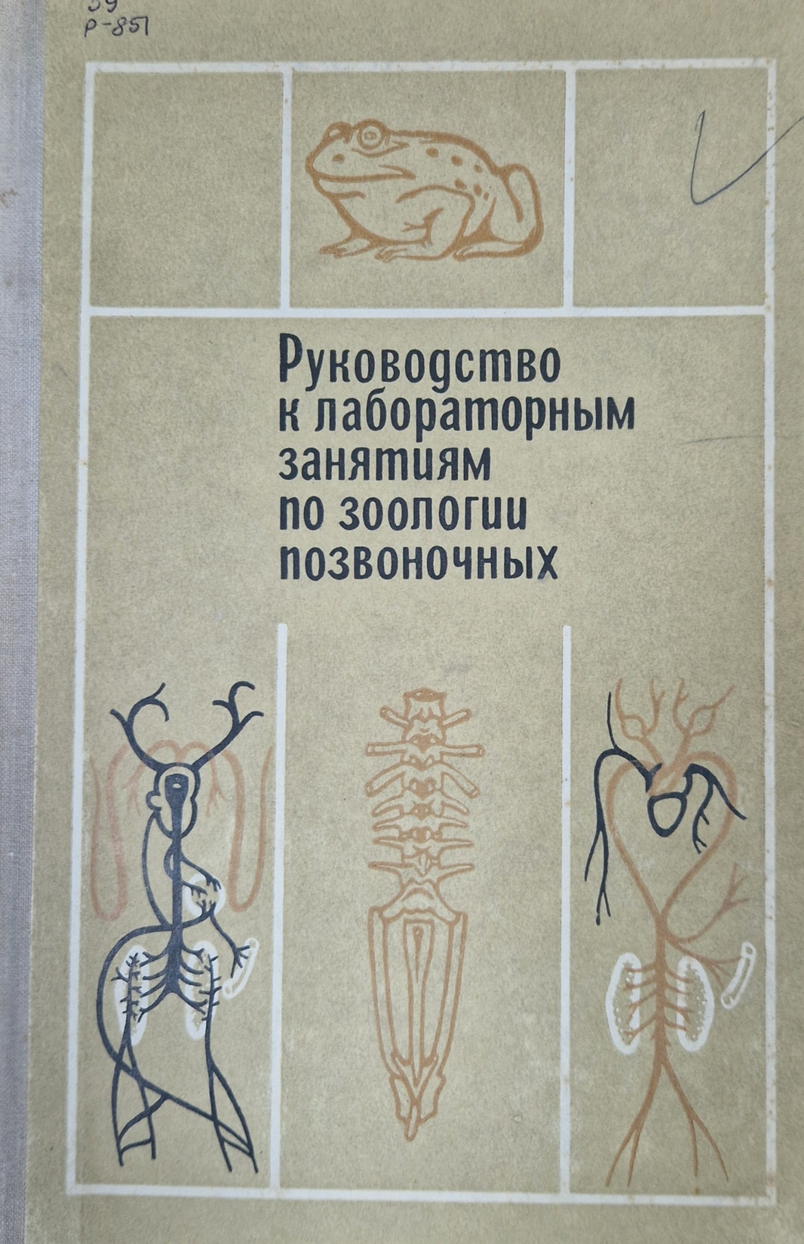 Руководство к лабораторным занятиям по зоологии позвоночных. 2-е изд. перераб.