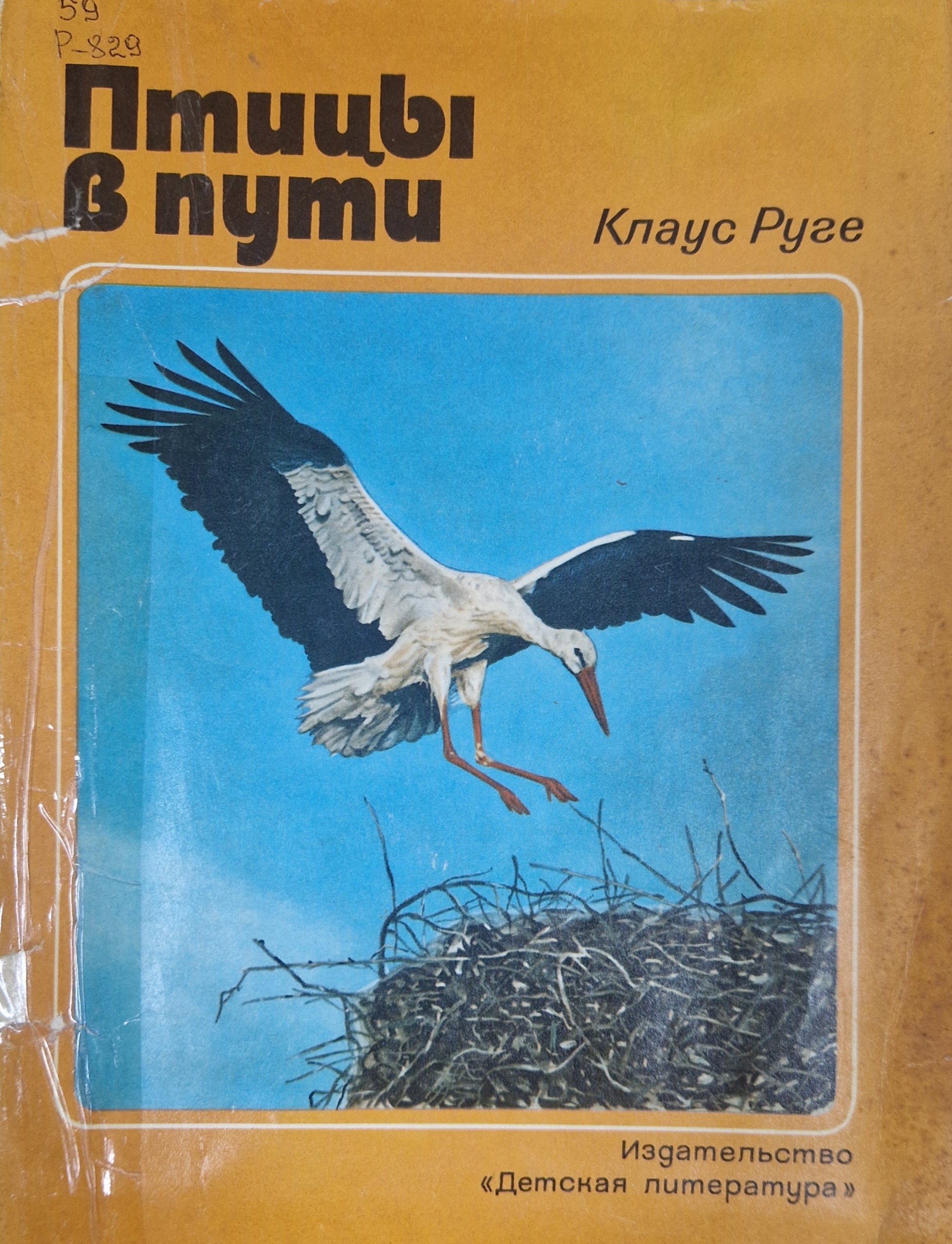 Птицы в пути