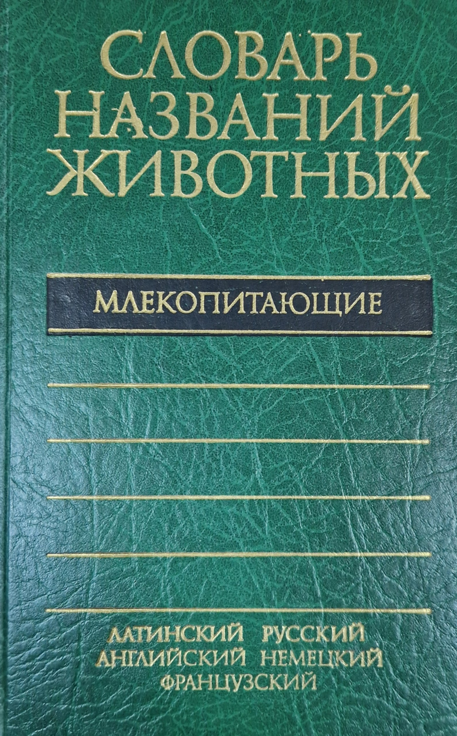 Словарь названий животных. Млекопитающие.