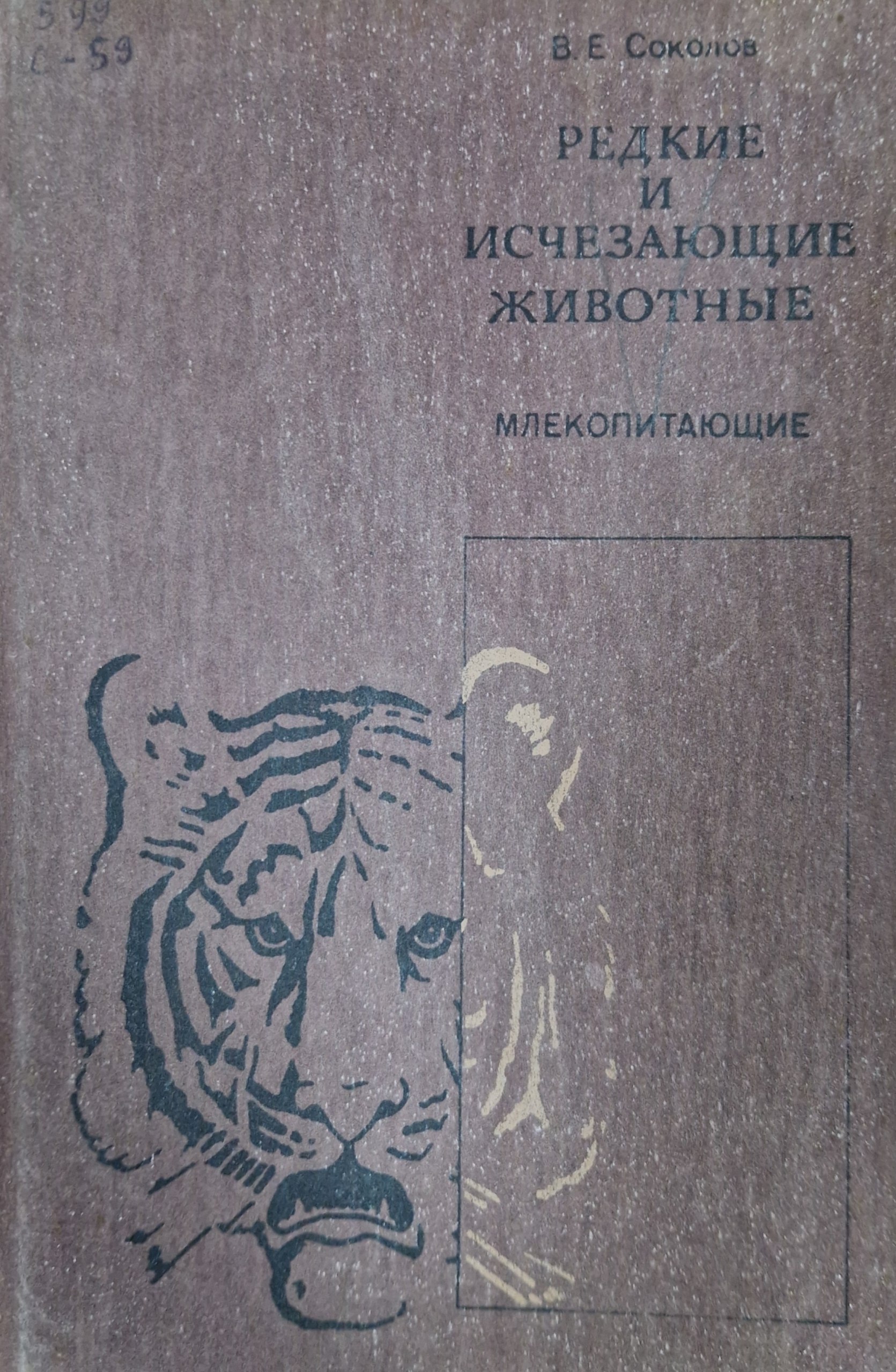 Редкие и исчезающие животные. Млекопитающие