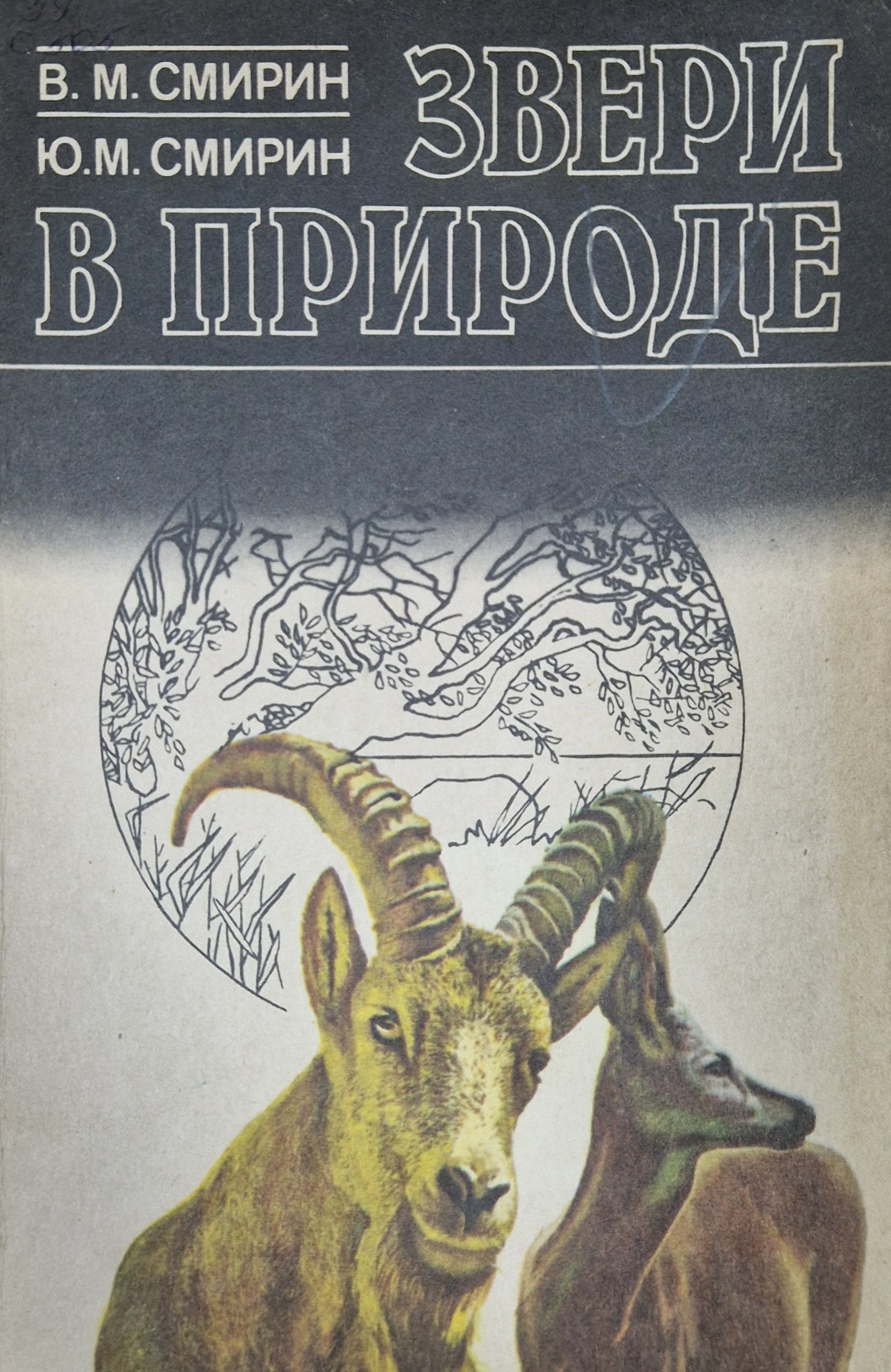 Звери в природе