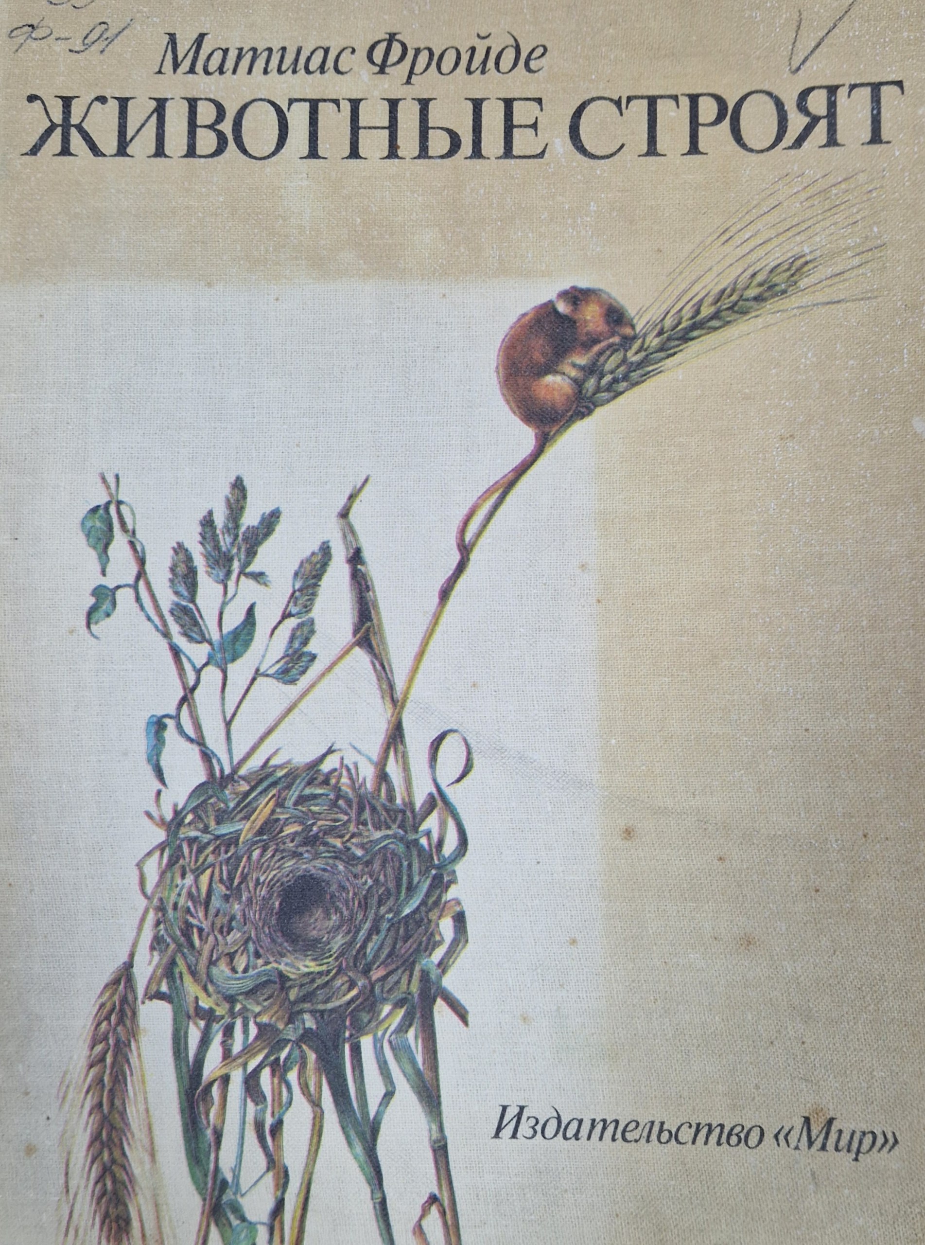 Животные строят