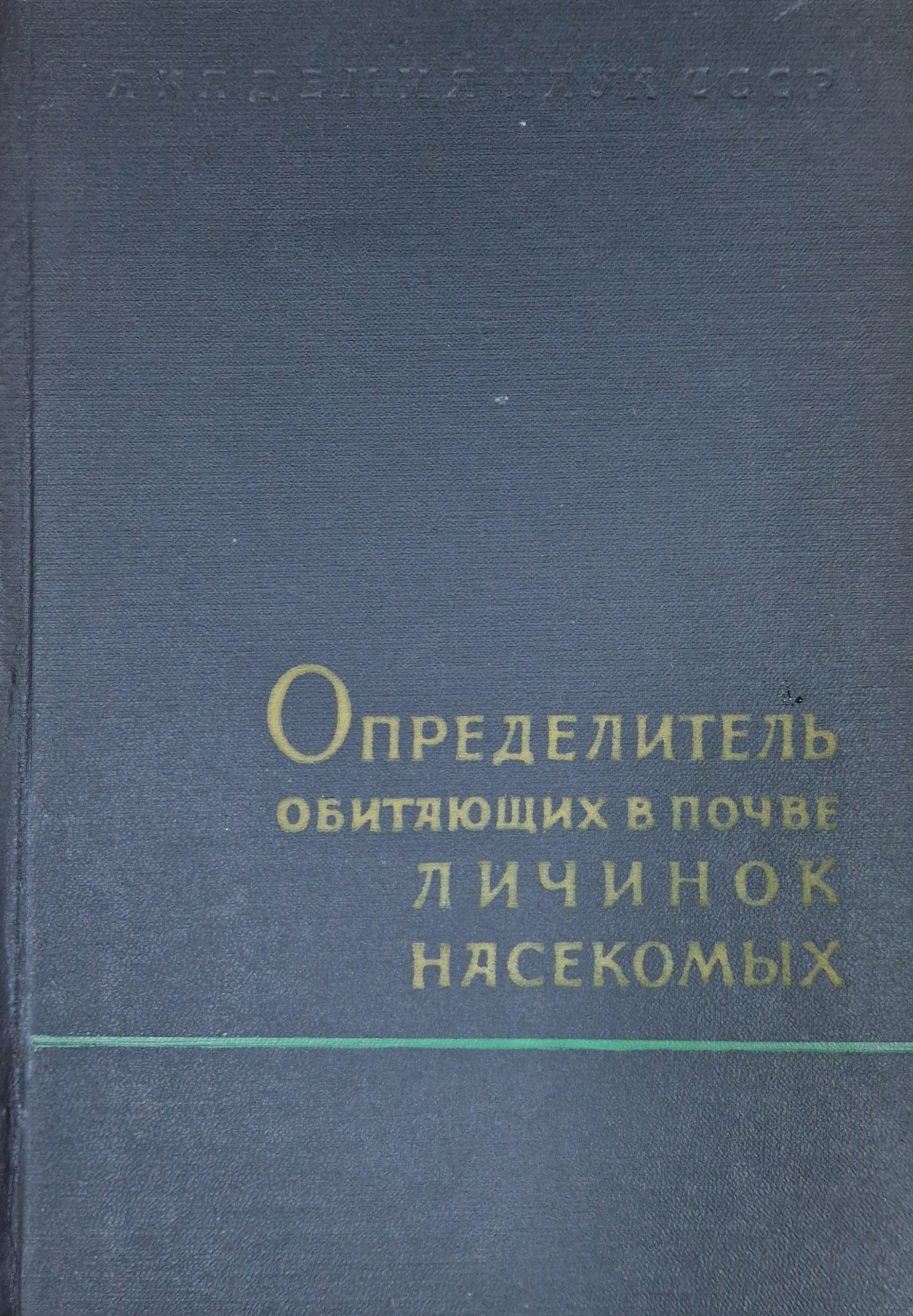Определитель обитающих в почве личинок насекомых