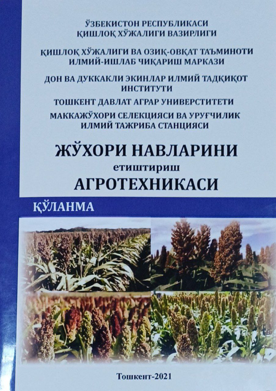 Жўхори навларини етиштириш агротехникаси