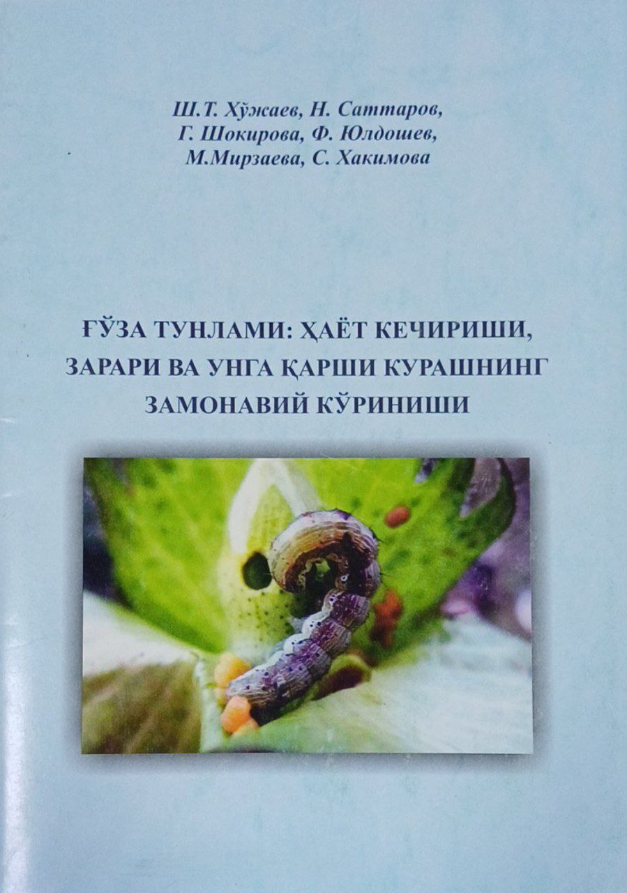Ғўза тунлами: ҳаёт кечириши, зарари ва унга қарши курашнинг замонавий кўриниши