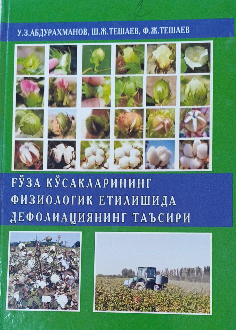 Ғўза кўсакларининг физиологик етилишида дефолиациянинг таъсири