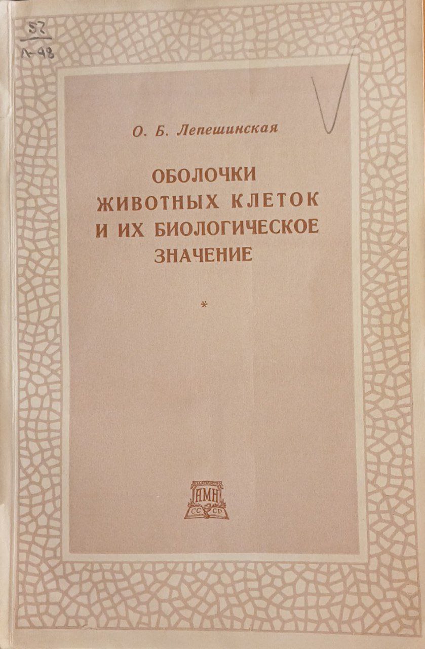 Оболочки животных клеток и их биологическое значение