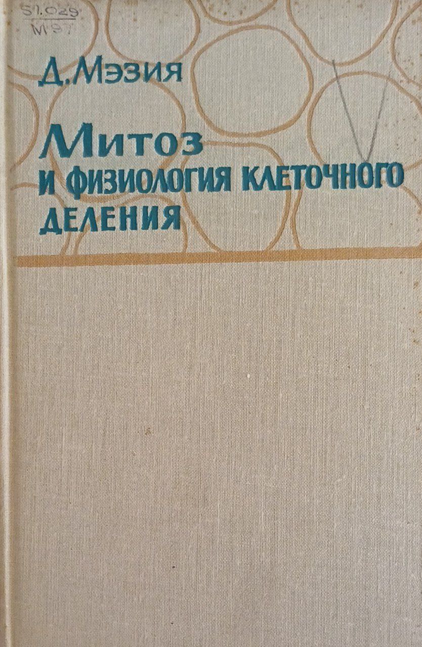Митоз и физиология клеточного деления