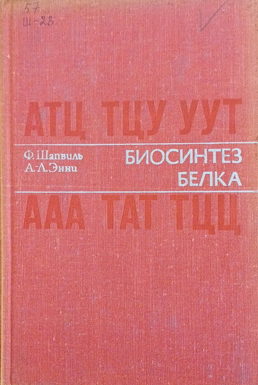 Биосинтез белка