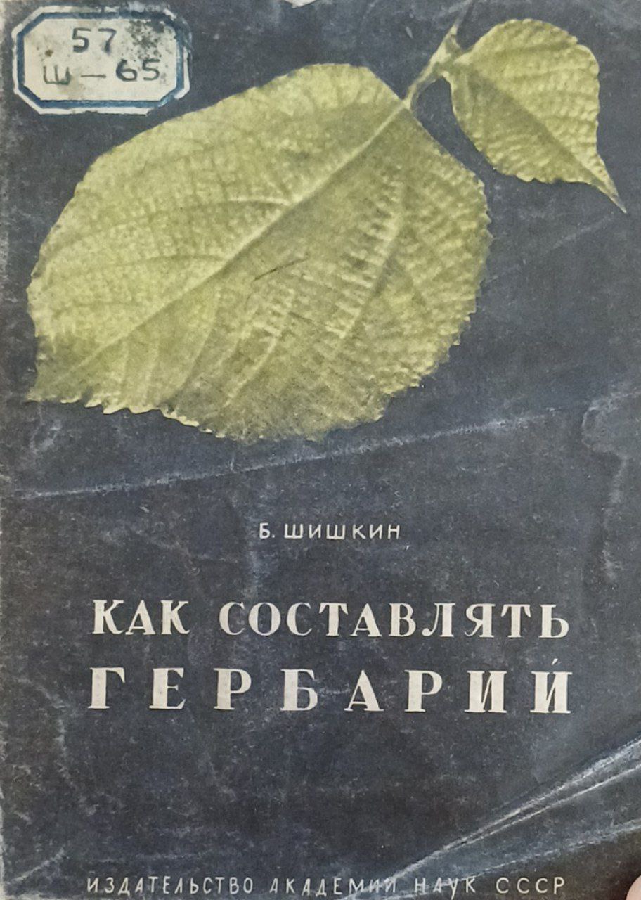 Как составлять гербарий