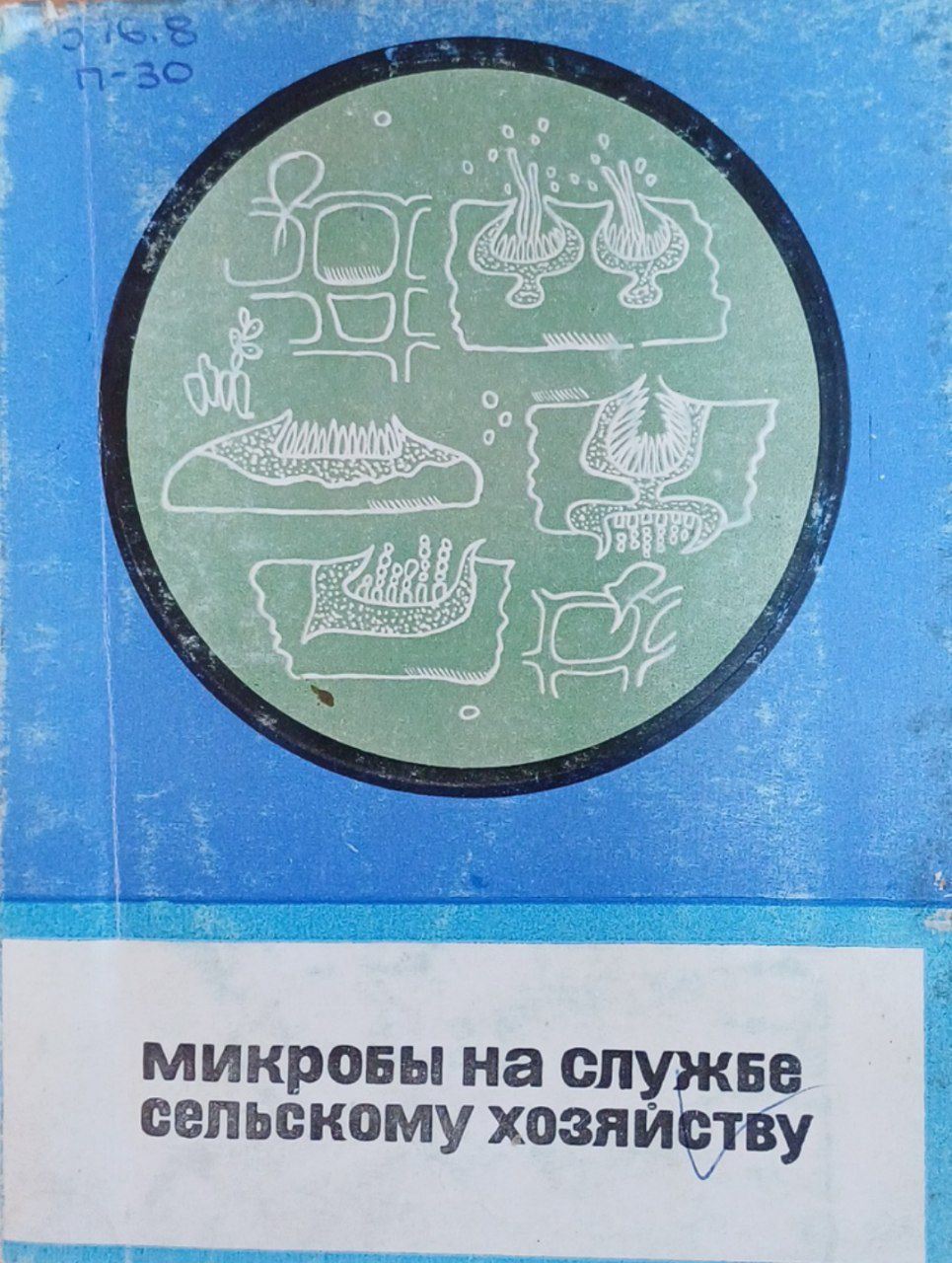 Микробы на службе сельскому хозяйству