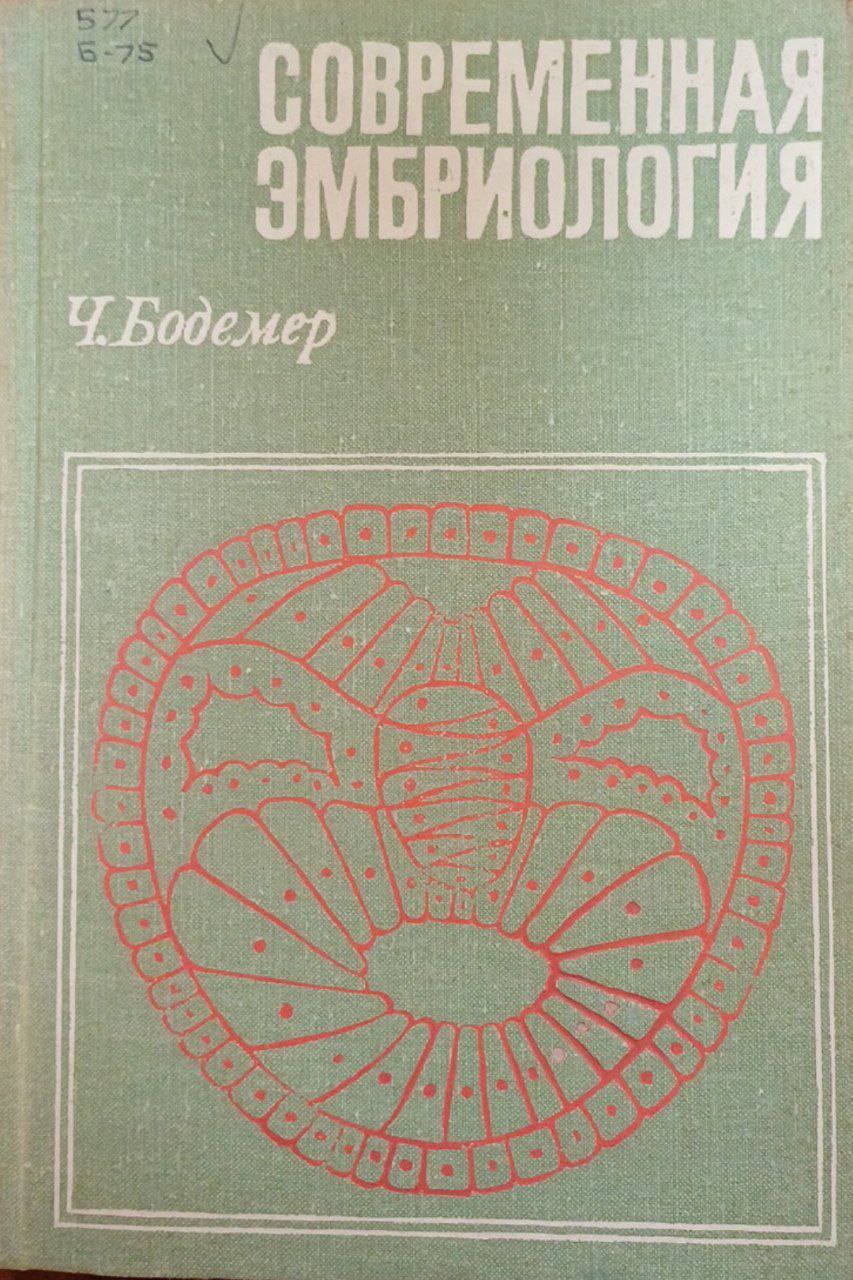 Современная эмбриология