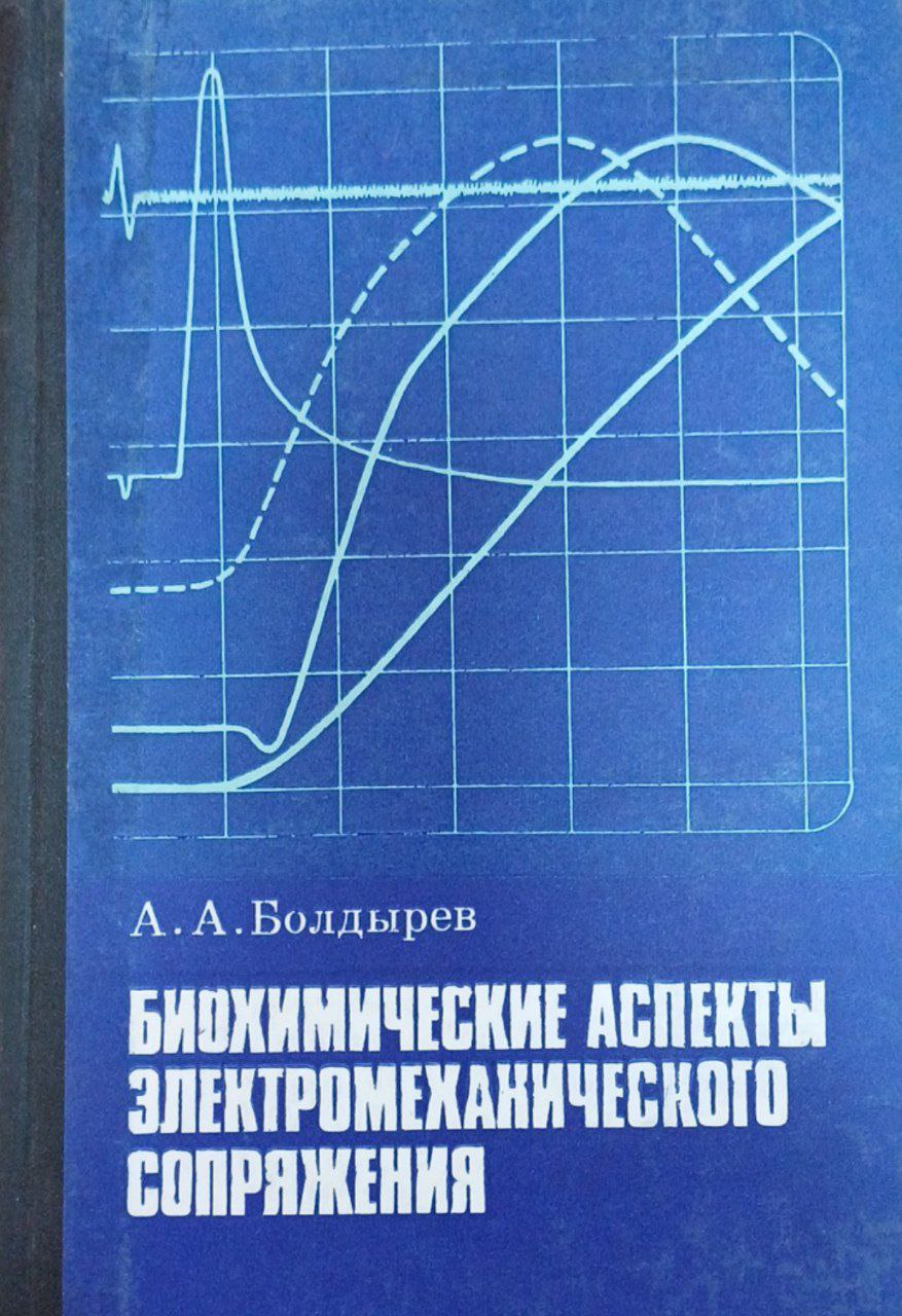 Биохимические аспекты электромеханического сопряжения