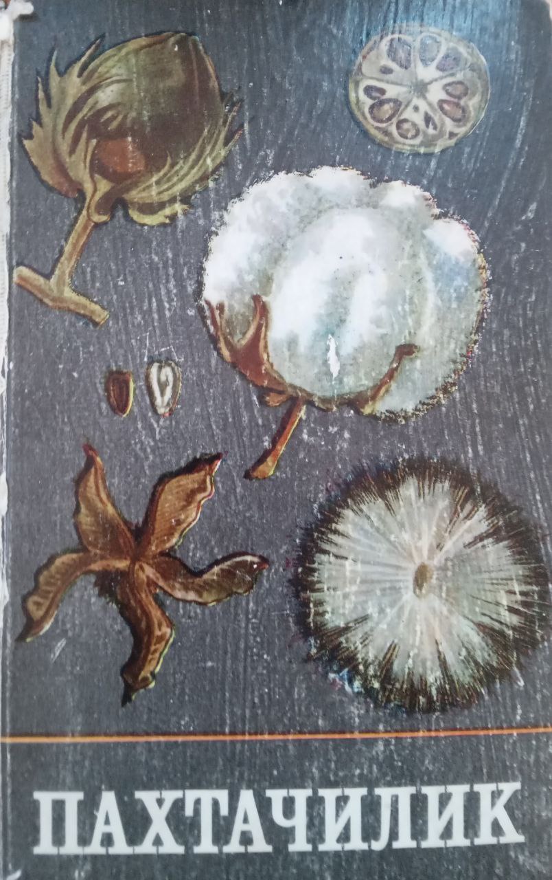 Пахтачилик