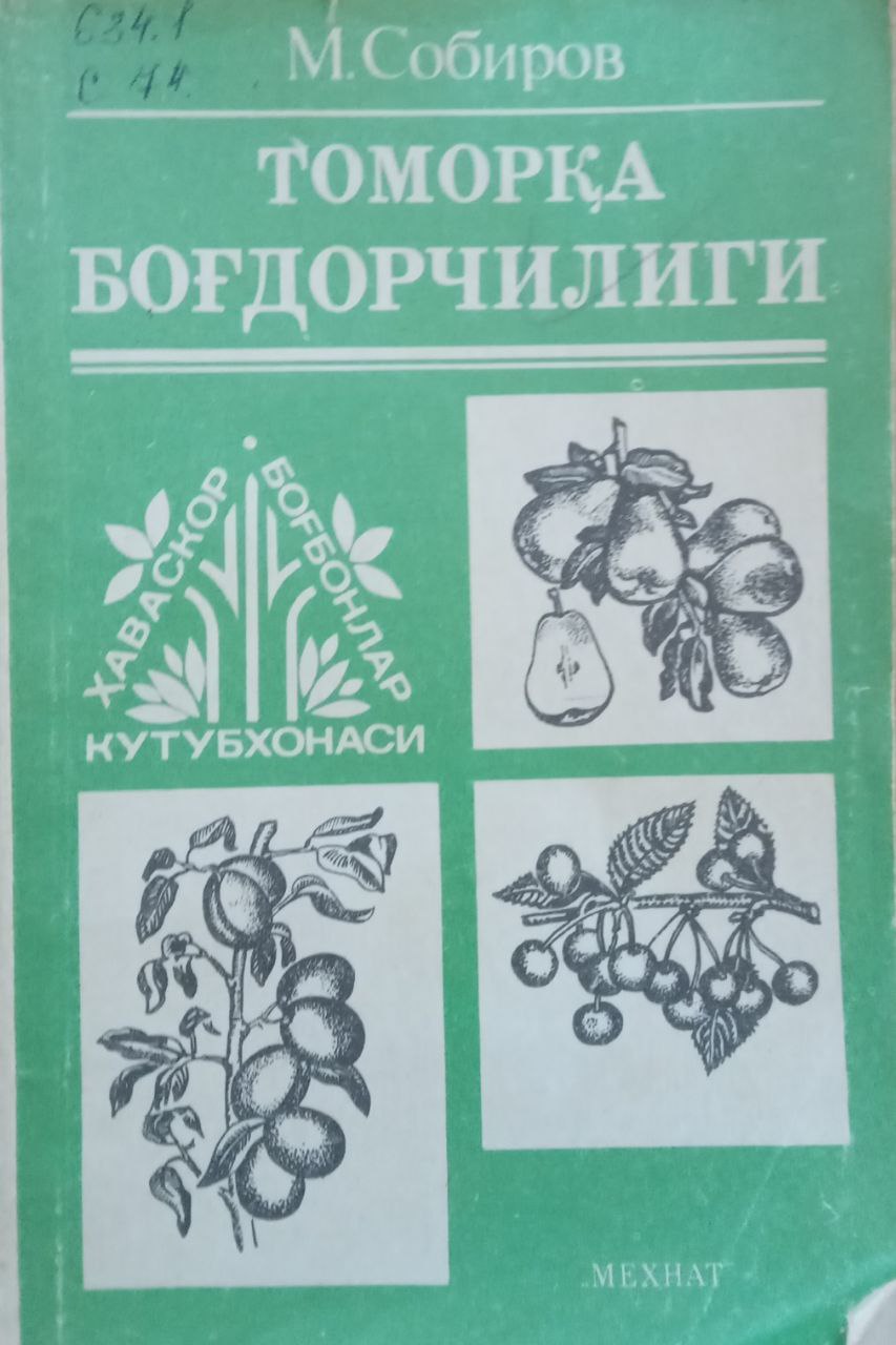 Томорқа боғдорчилиги