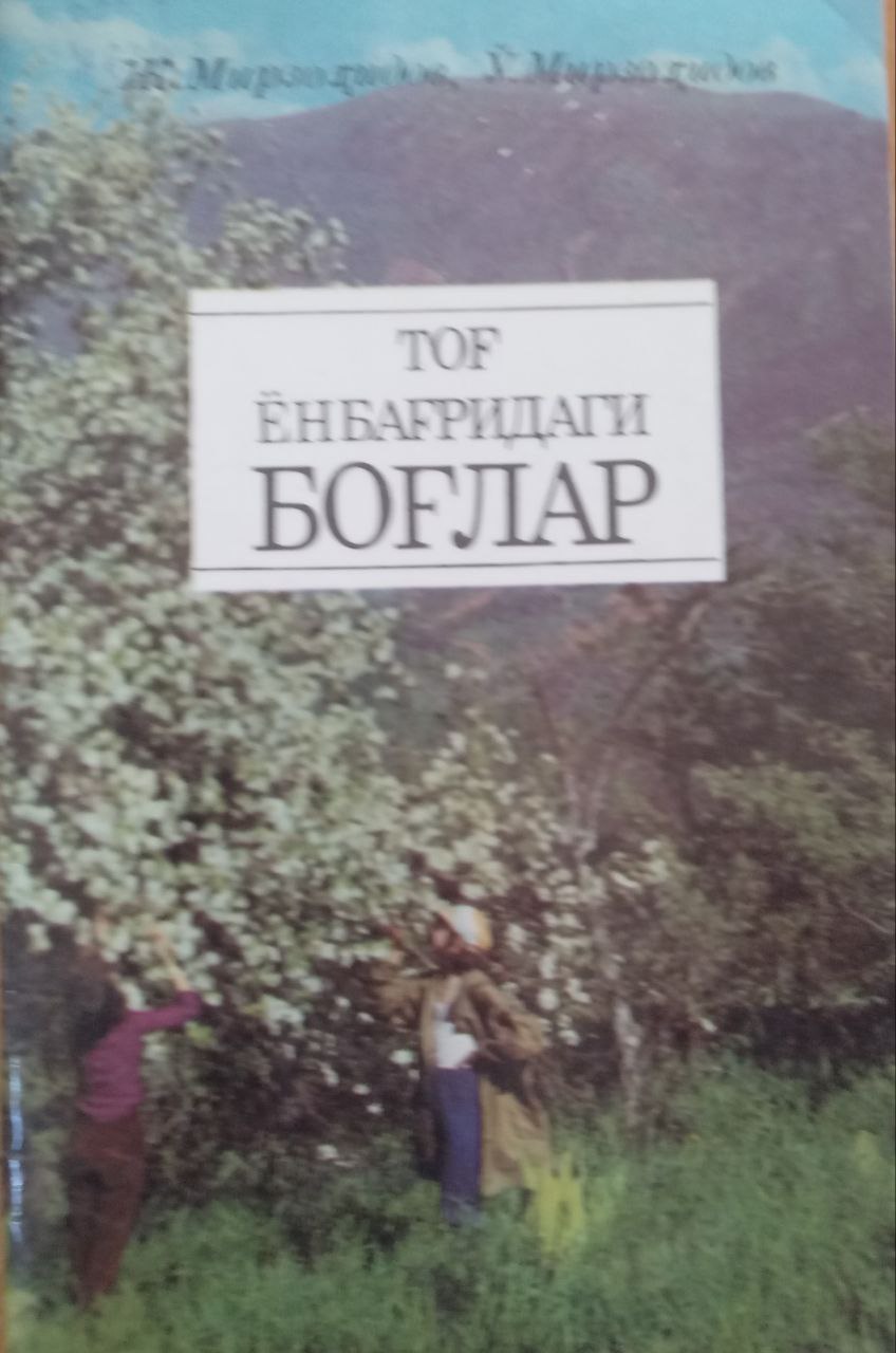 Тоғ ёнбағридаги боғлар