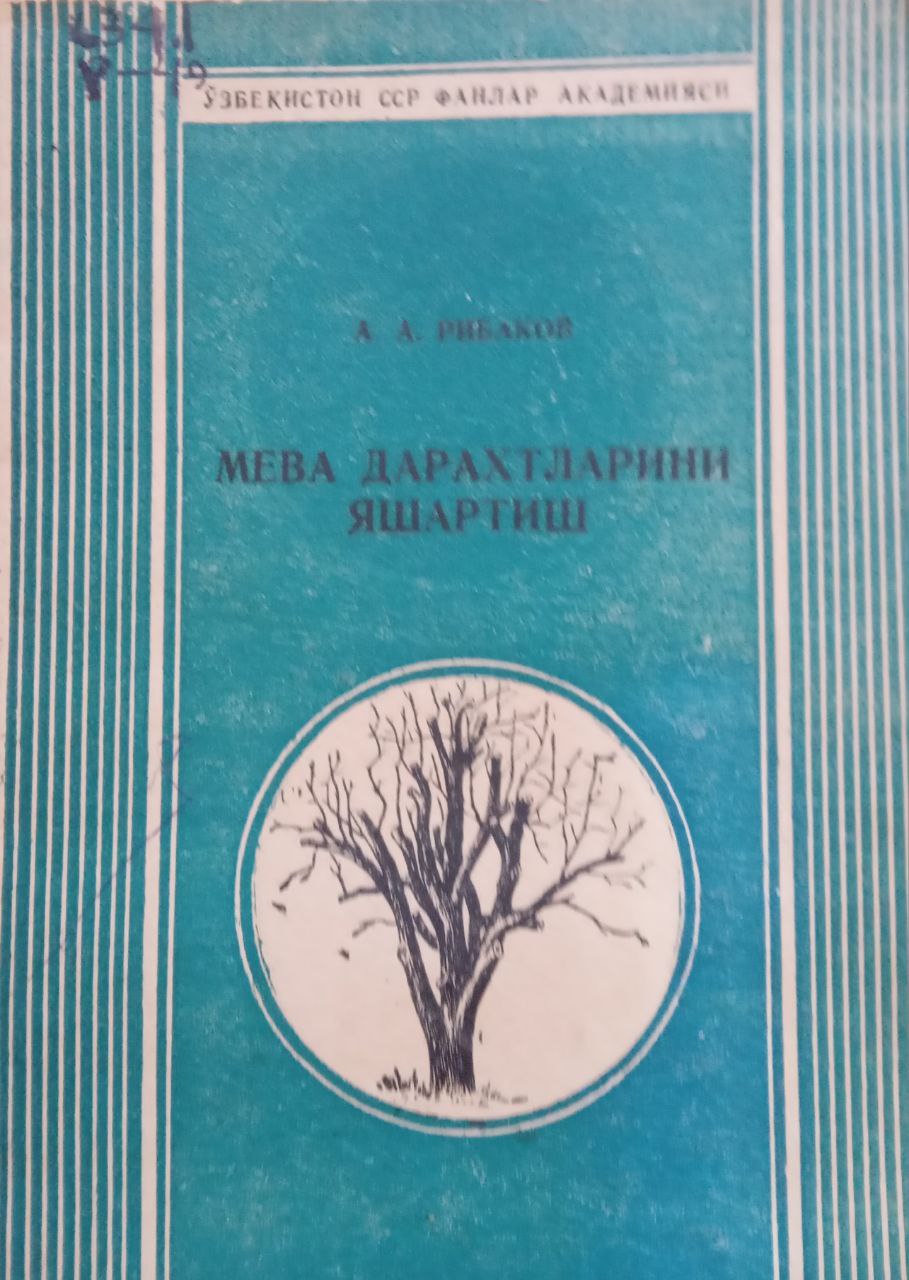 Мева дарахтларини яшартириш