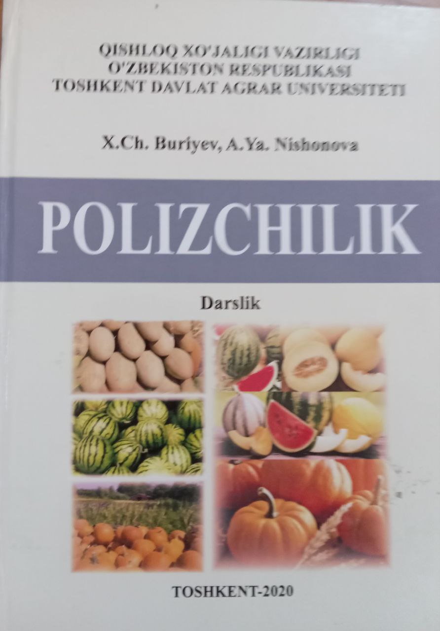 Polizchilik