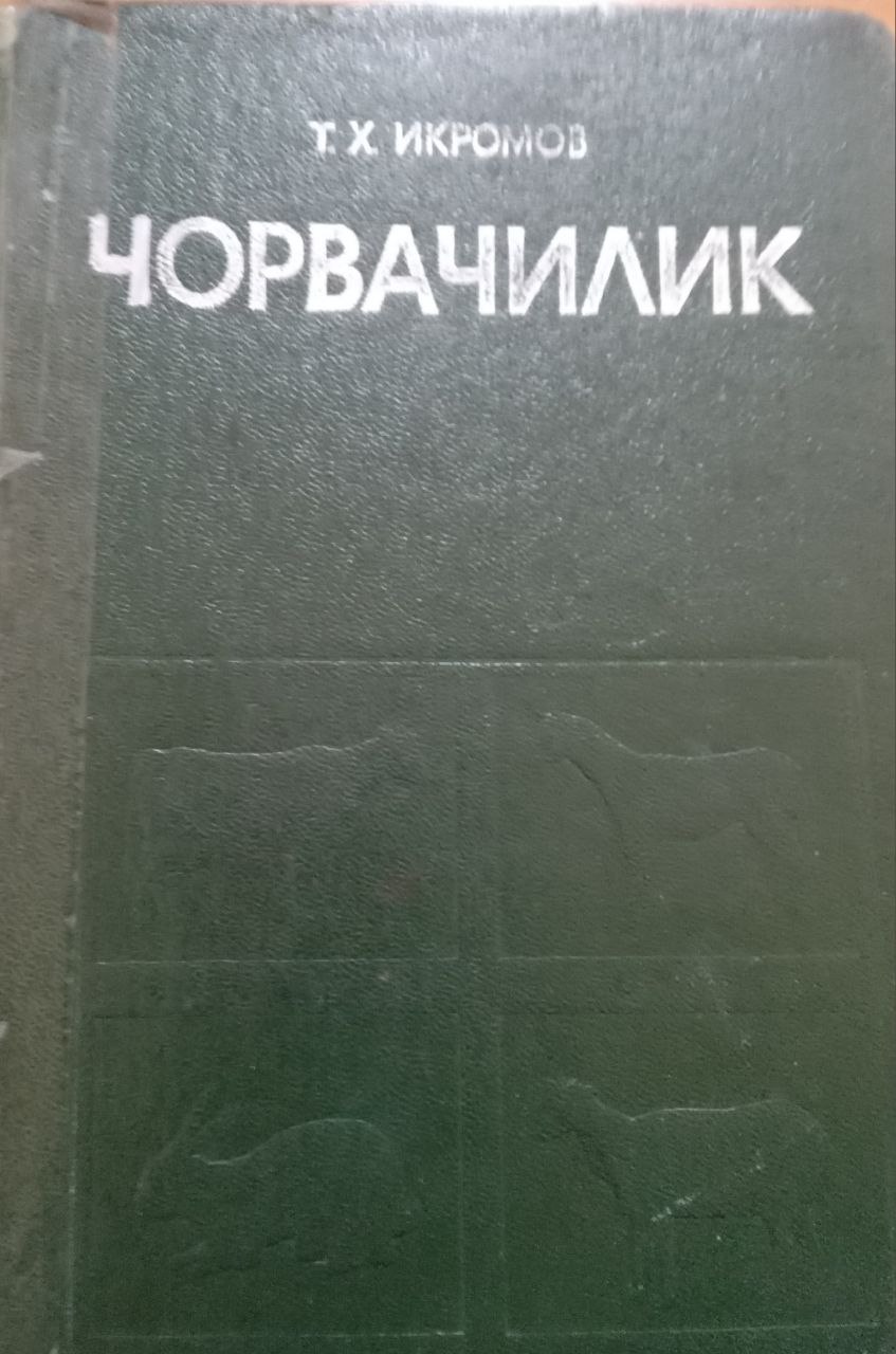 Чорвачилик