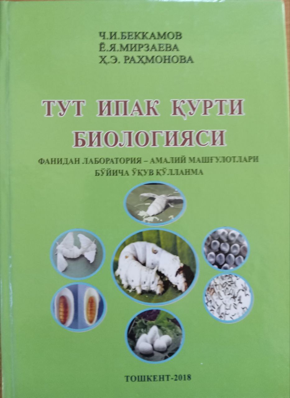 Тут ипак қурти биологияси