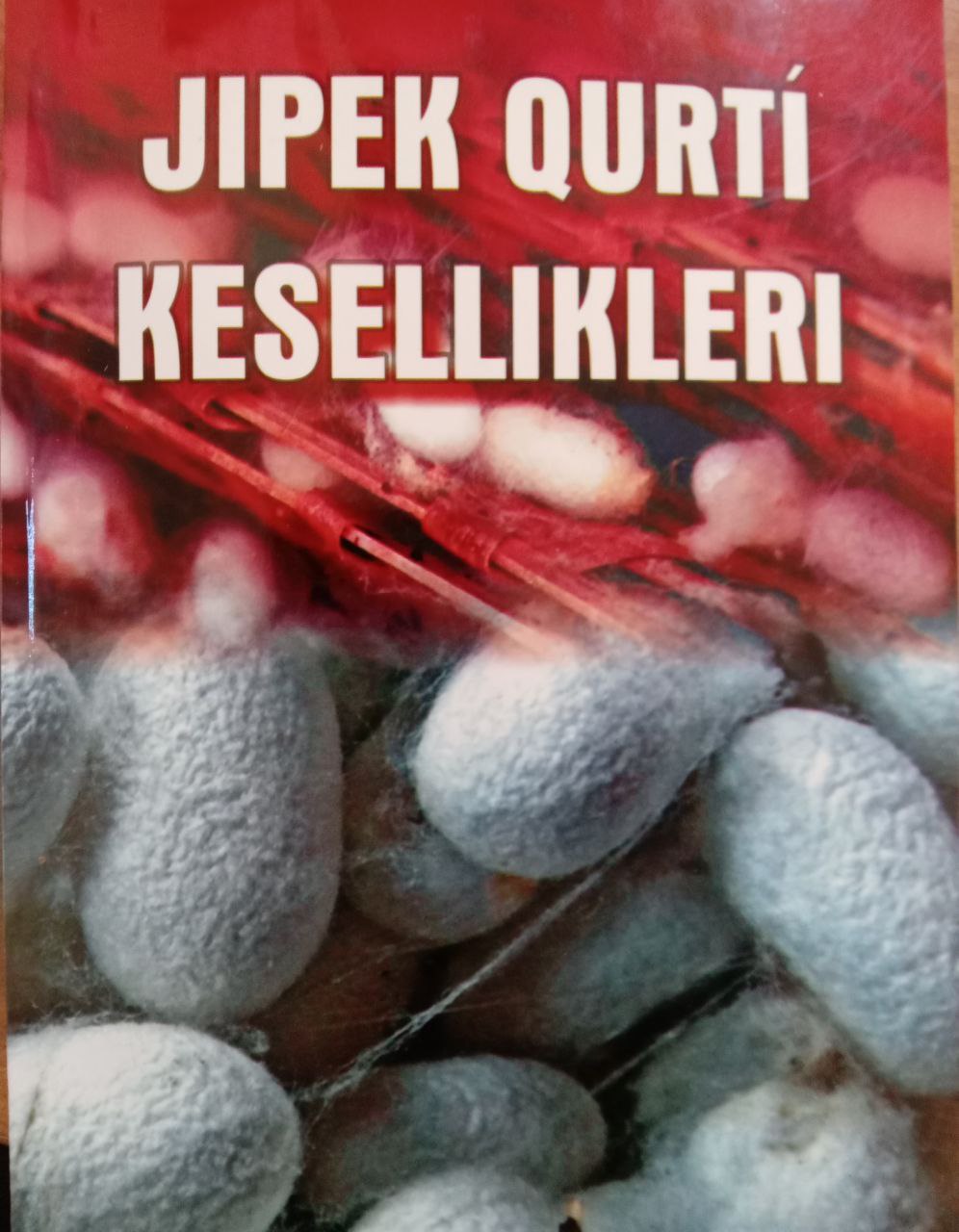 Jipek qurti kasalliklari