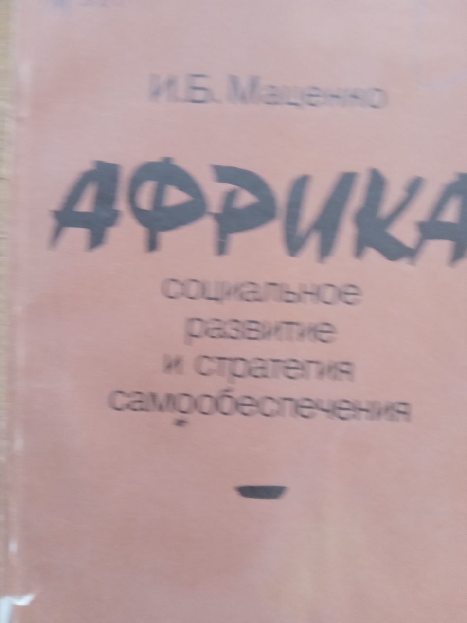 Африка: социальное развитие и стратегия самообеспечение