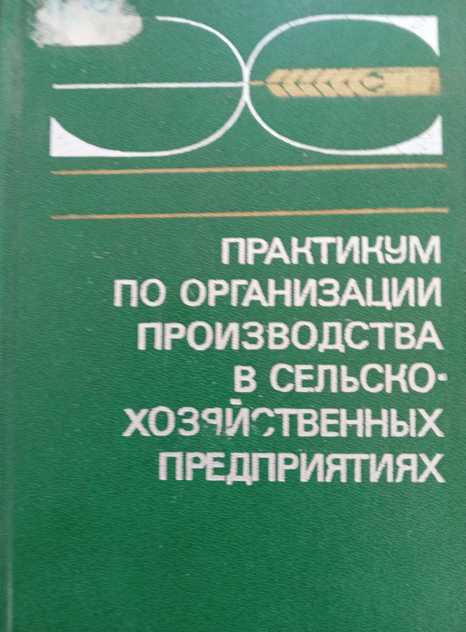 Практикум по организации производства в сельскохозяйственных предприятиях