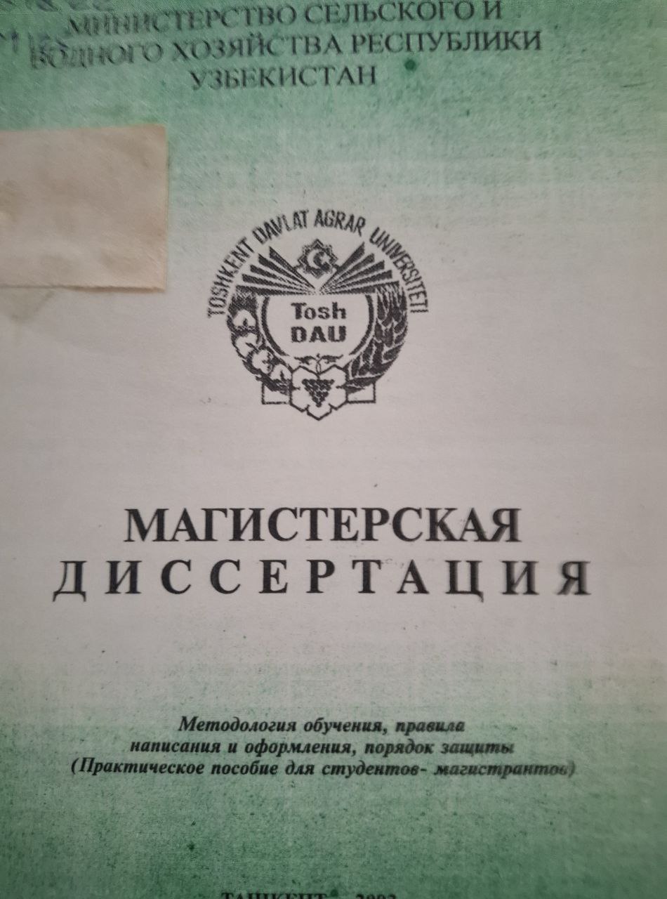 Магистерская диссертация