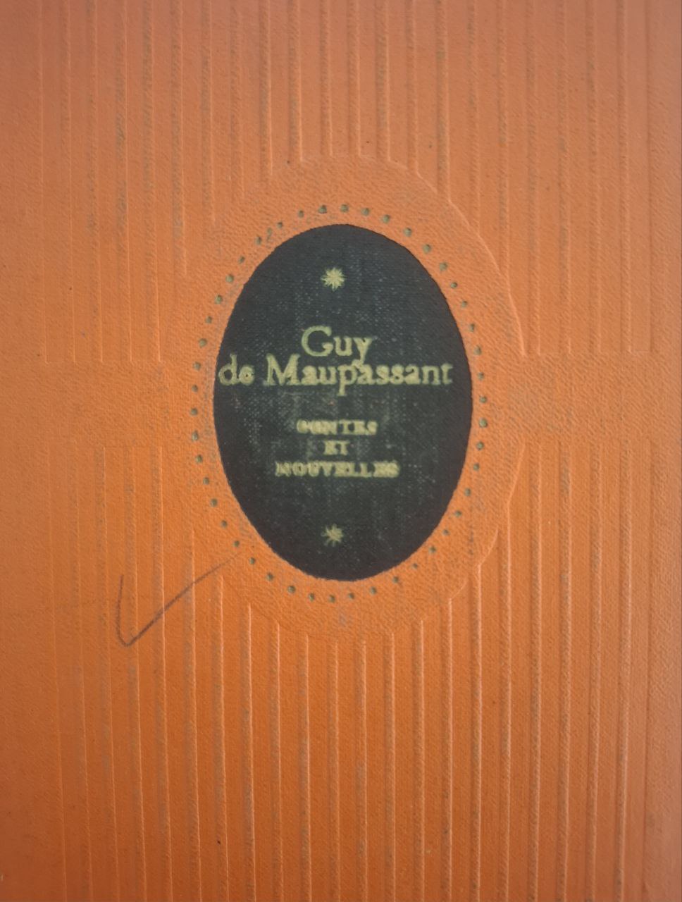 Рассказы (на французском языке)