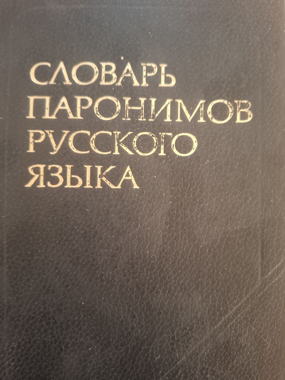 Словарь паронимов русского языка