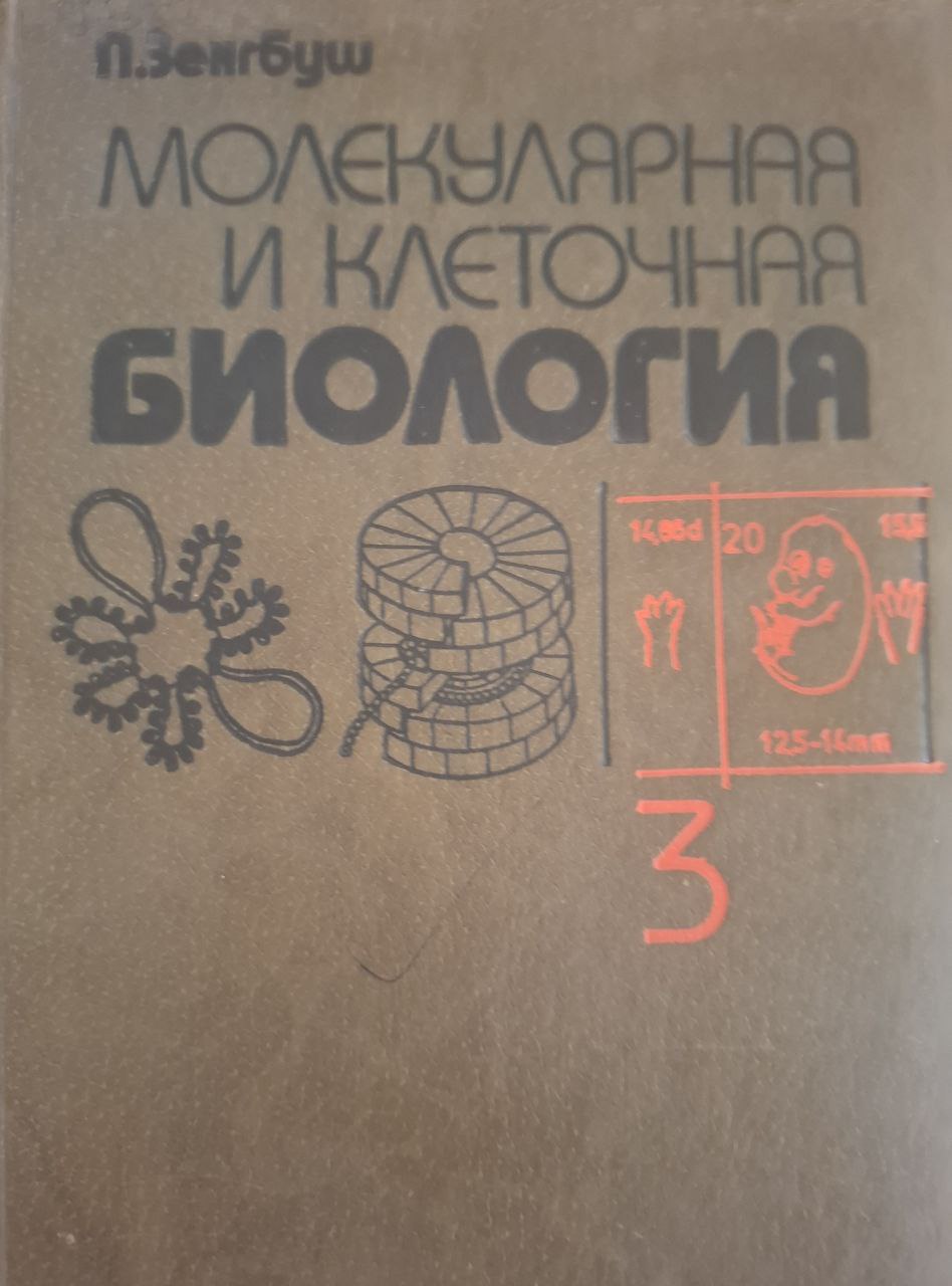 Молекулярная и клеточная биология. Том 3