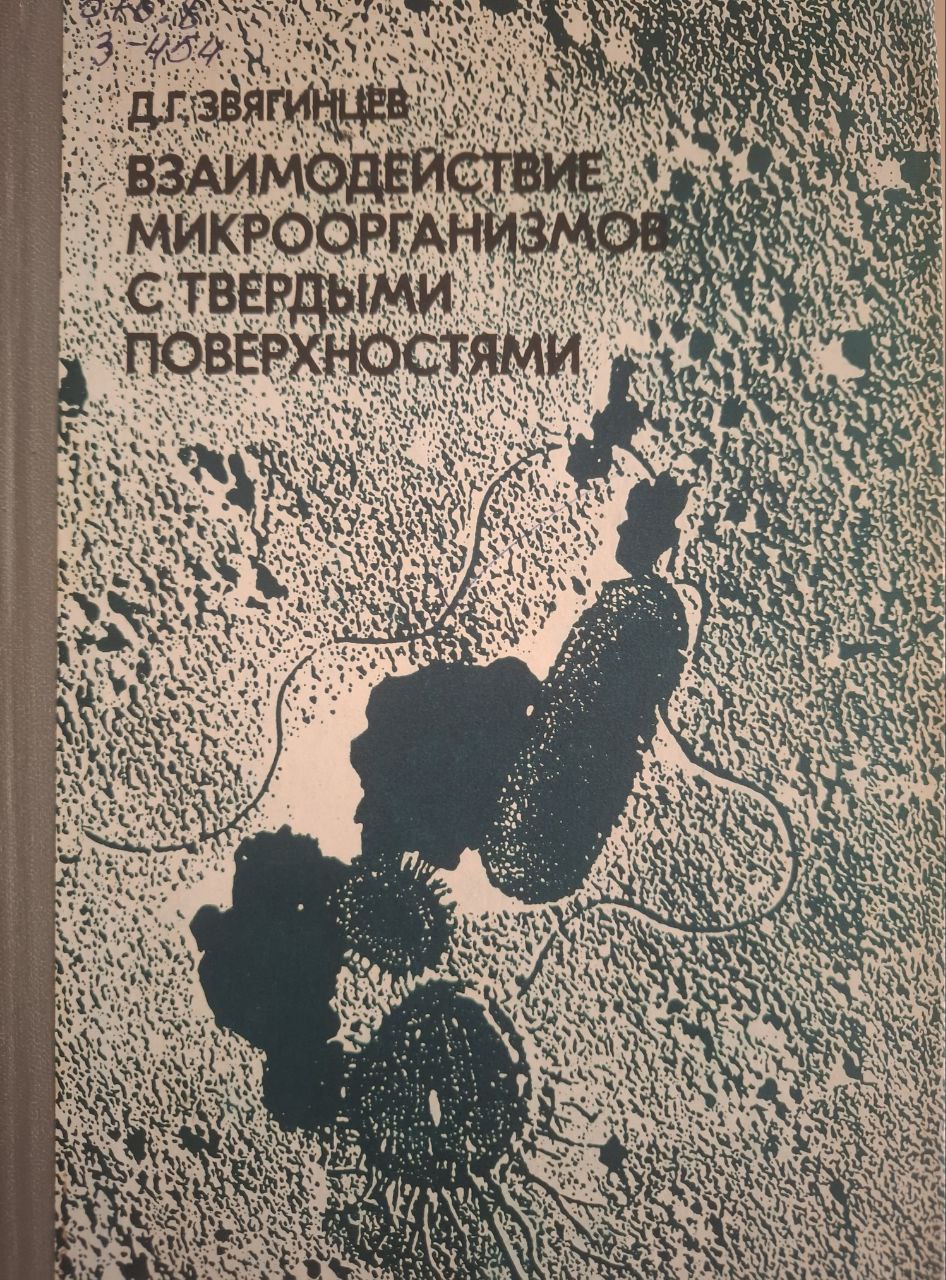 Взаимодействие микроорганизмов с твердыми поверхностями