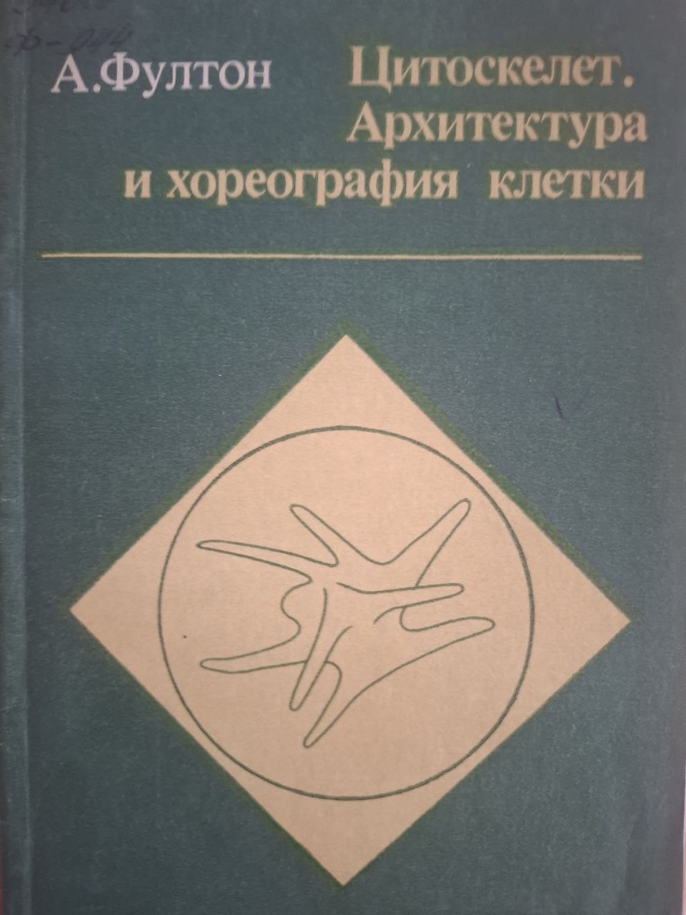 Цитоскелет Архитектура и хореография клетки