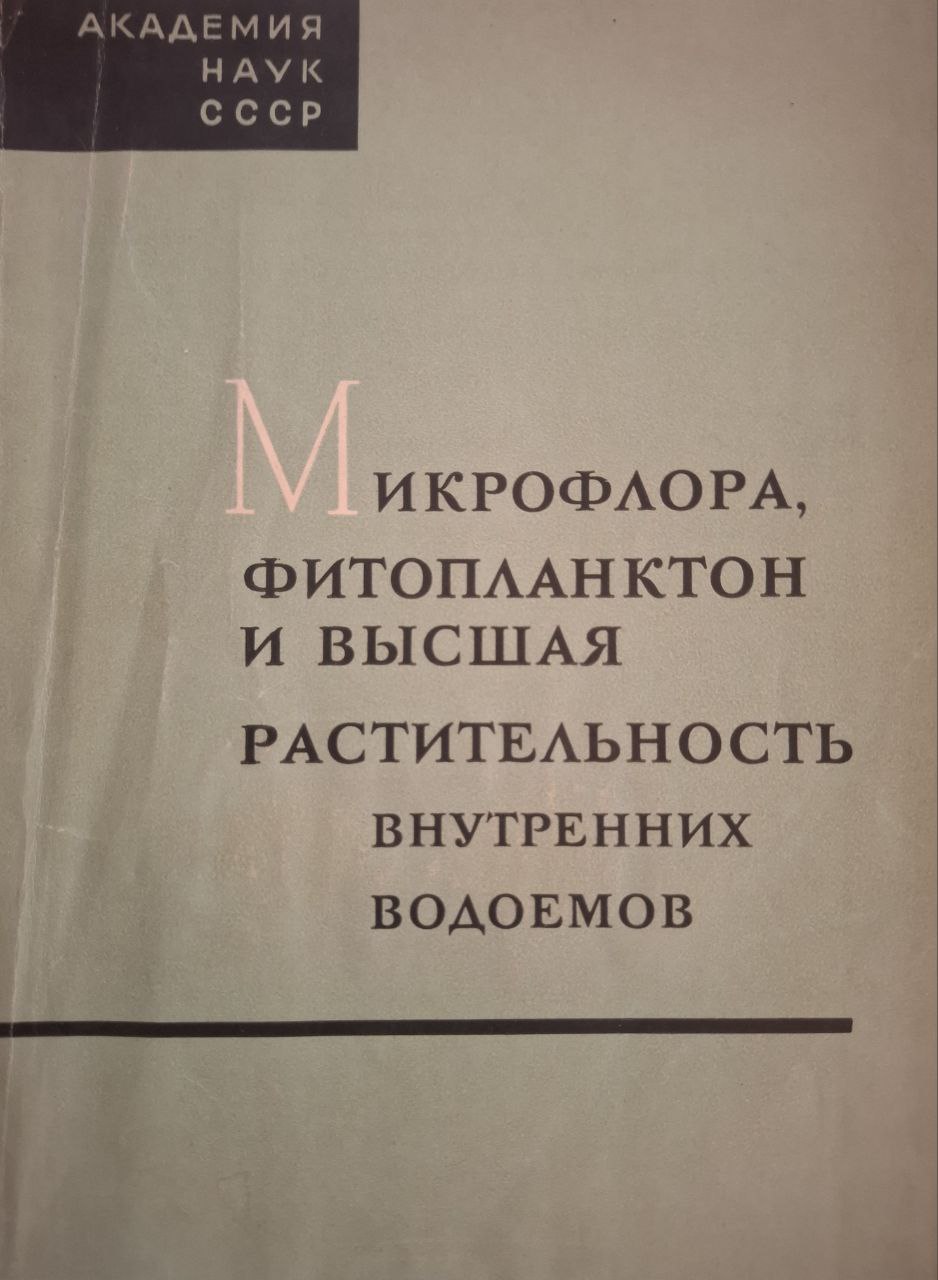Микрофлора фитопланктон и высшая растительность внутренних водоемов