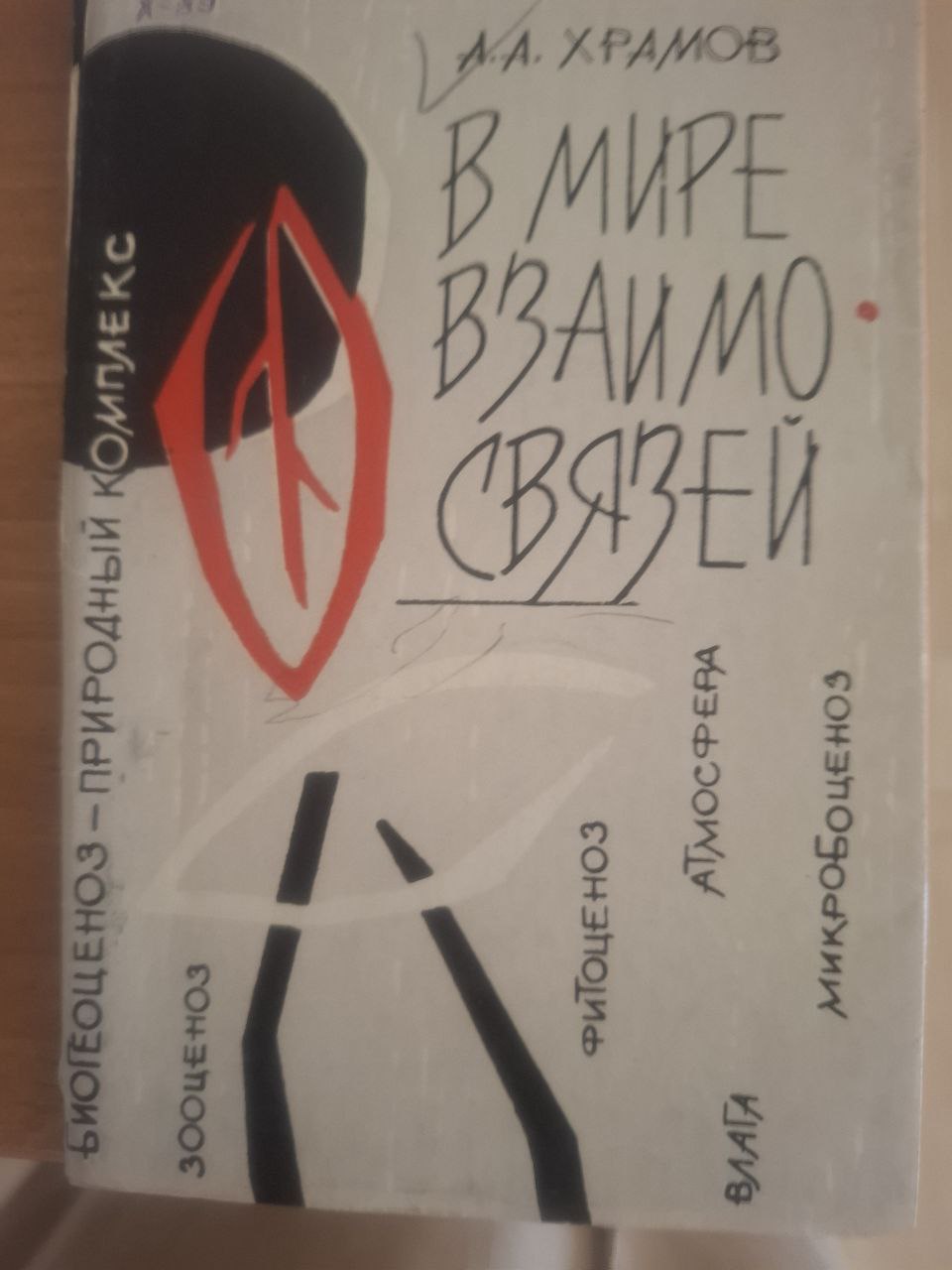 В мире взаимосвязей