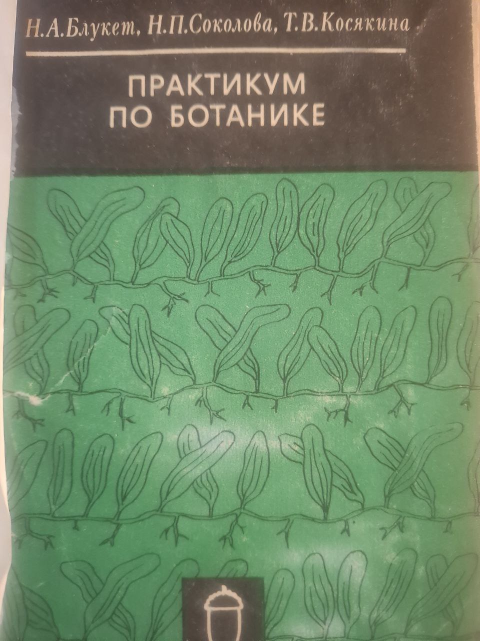 Практикум по ботанике