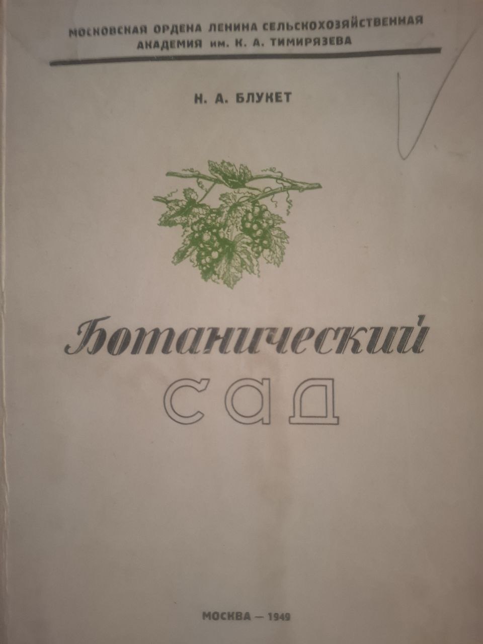 Ботанический сад