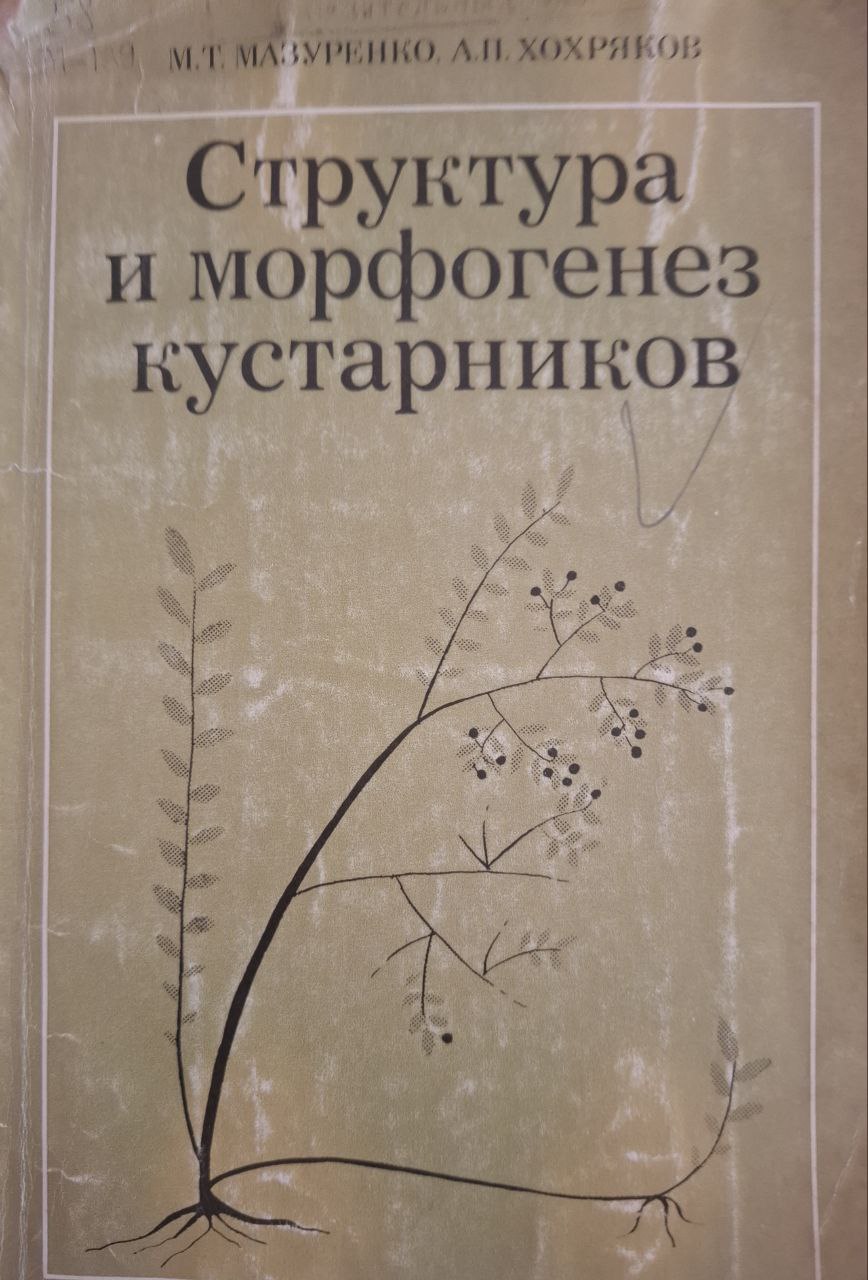 Структура и морфогенез кустарников