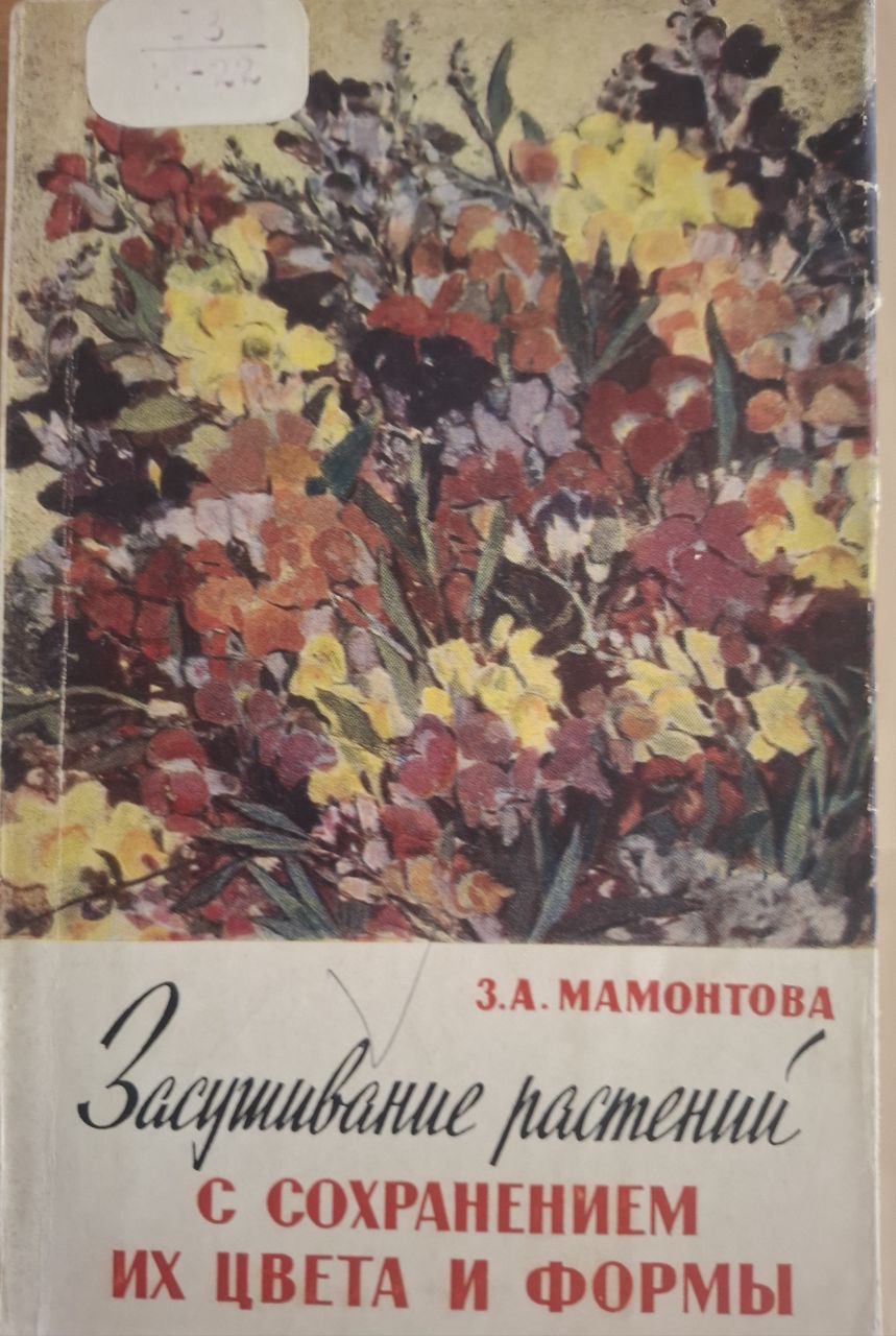 Засушивание растений с сохранением их цвета и формы
