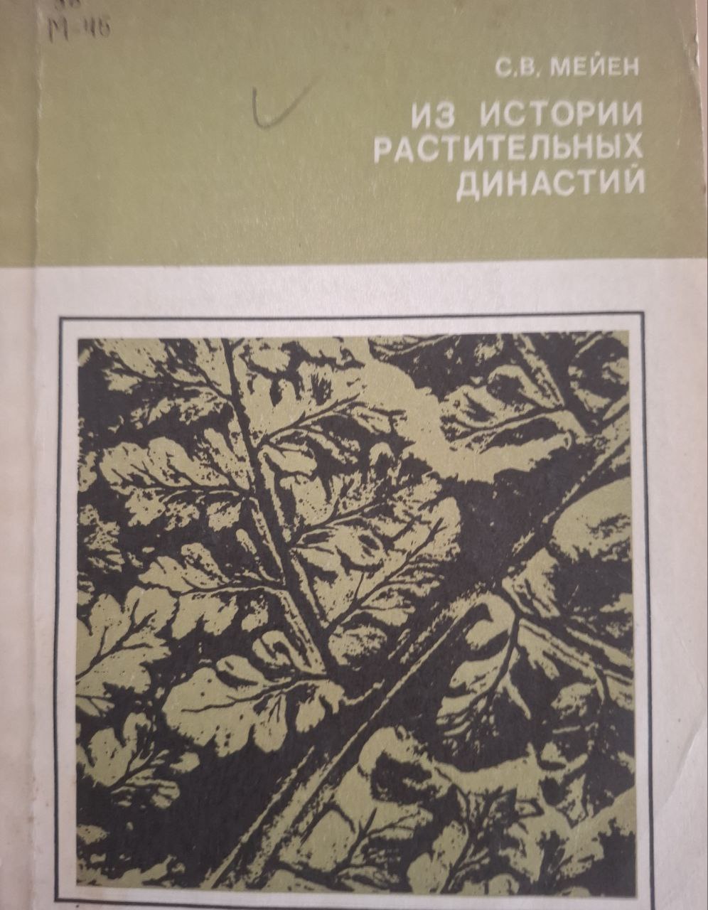 Из истории растительных династий