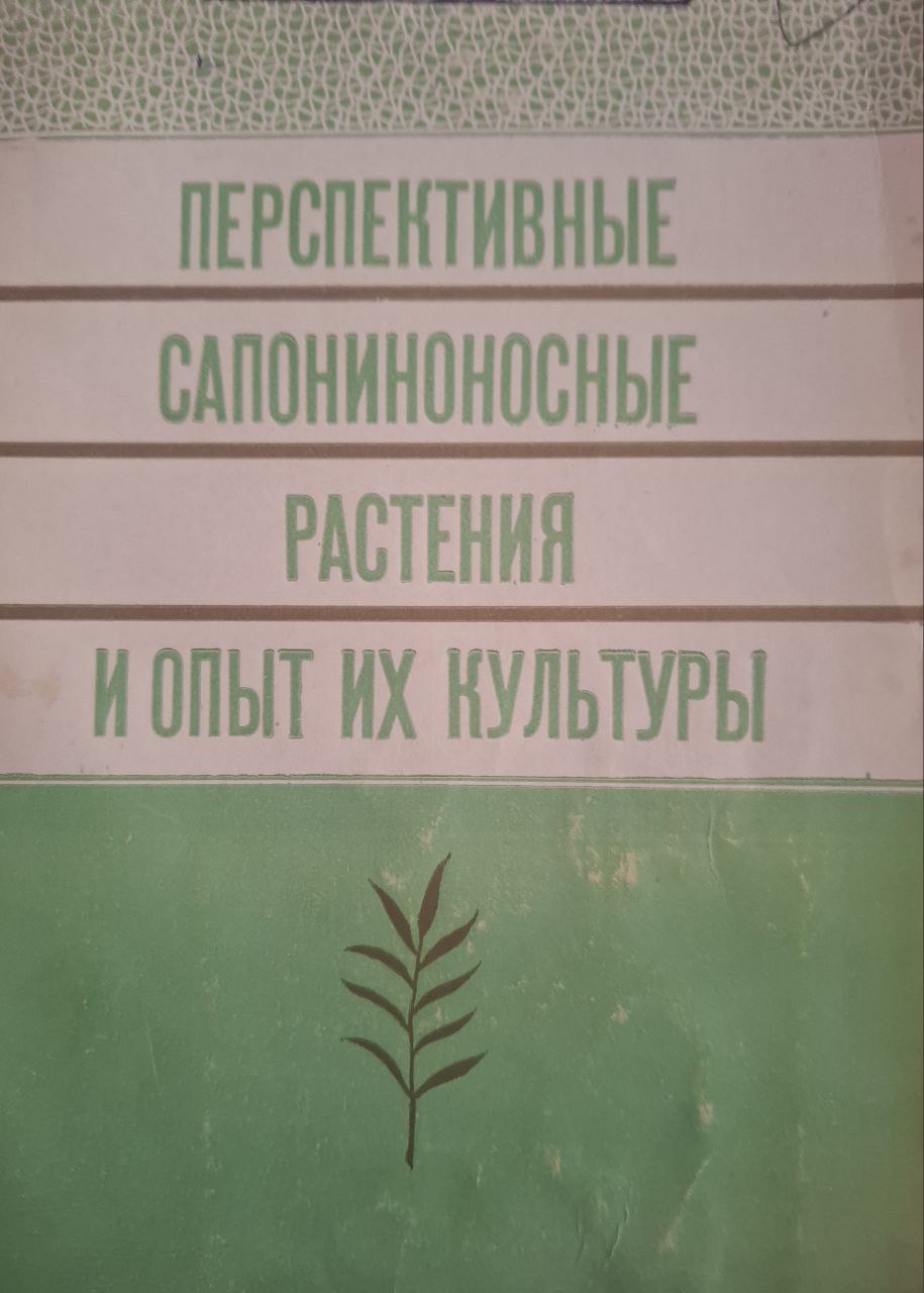 Перспективные сапониноносные растения и опыт их культуры