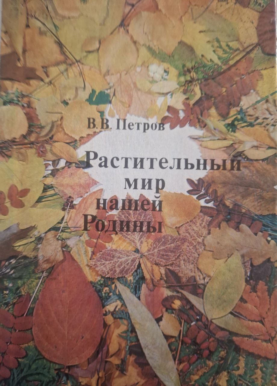 Растительный мир нашей Родины