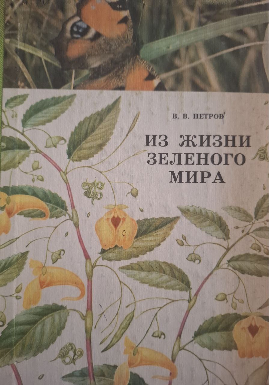 Из жизни зеленого мира