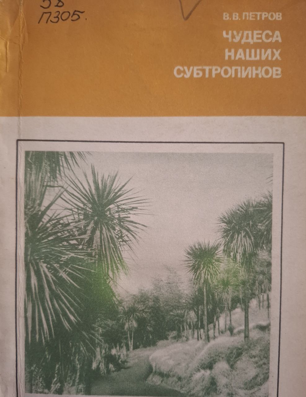 Чудеса наших субтропиков