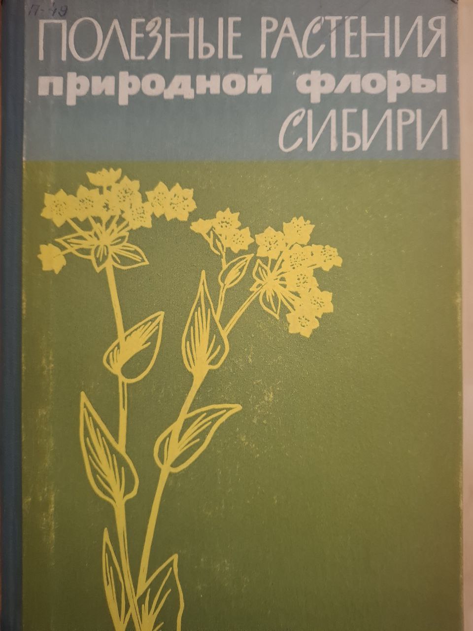 Новые полезные растения природной флоры Сибири