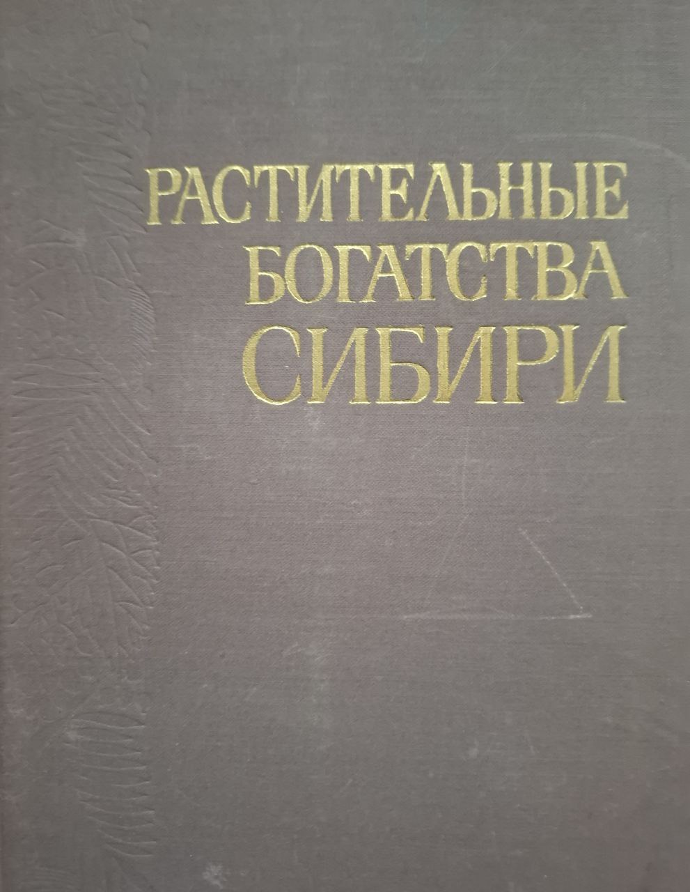 Растительные богатства Сибири